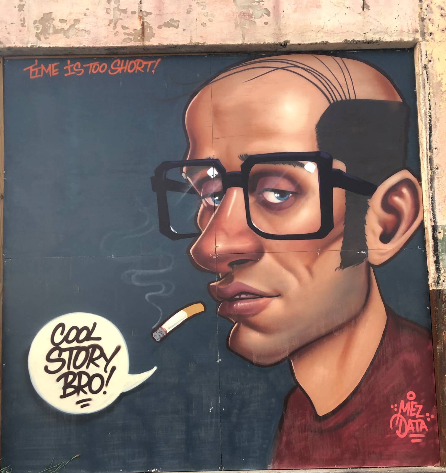 Mez Data&mdash;Cool Story Bro!