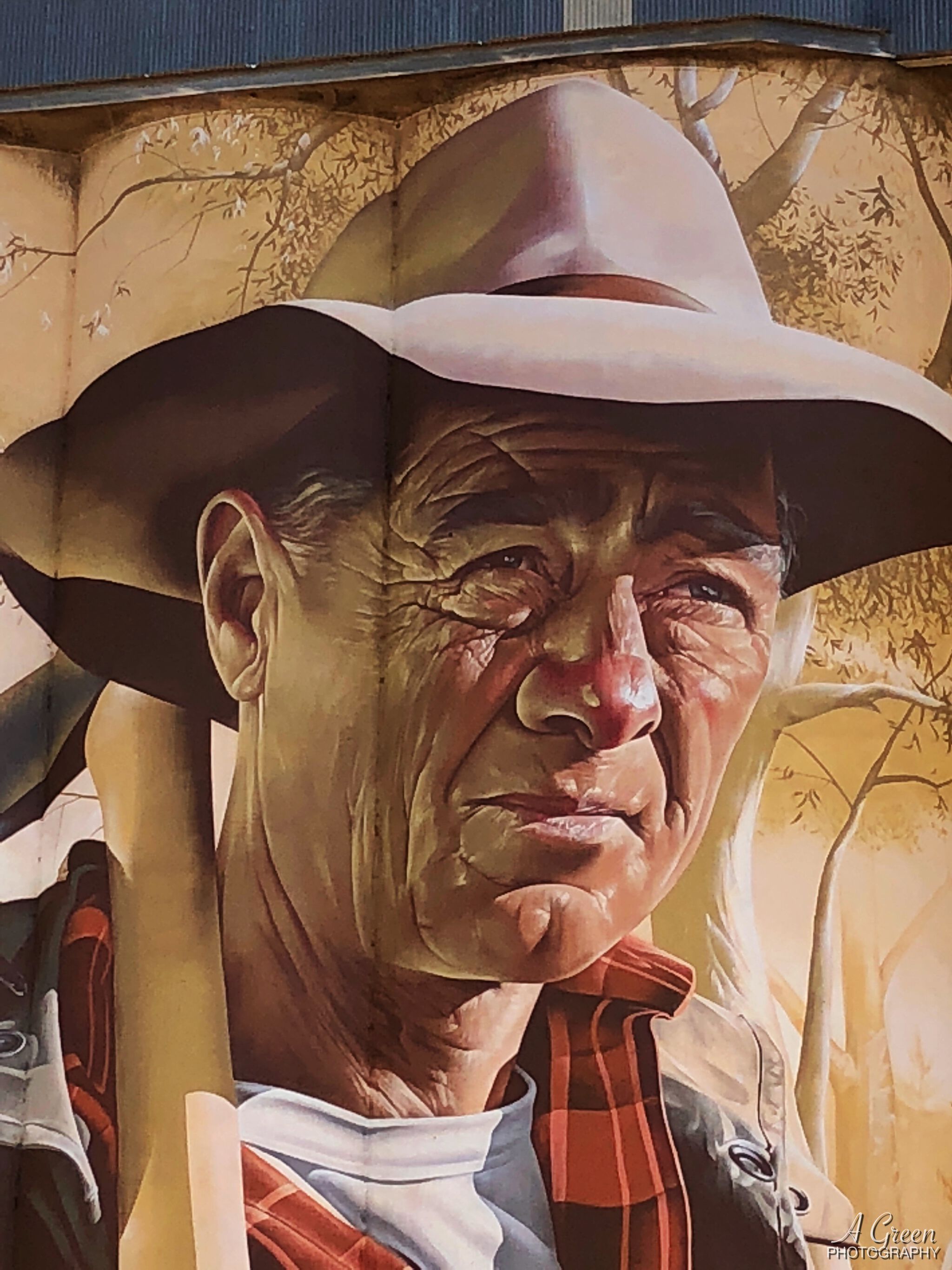 Smug&mdash;Wirrabara Silo Art