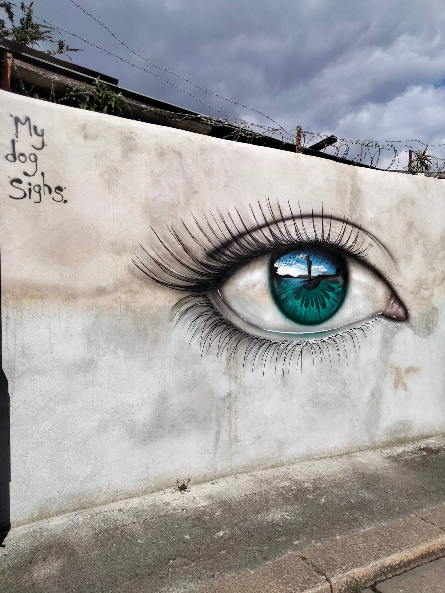 My Dog Sighs&mdash;Plymouth Eye