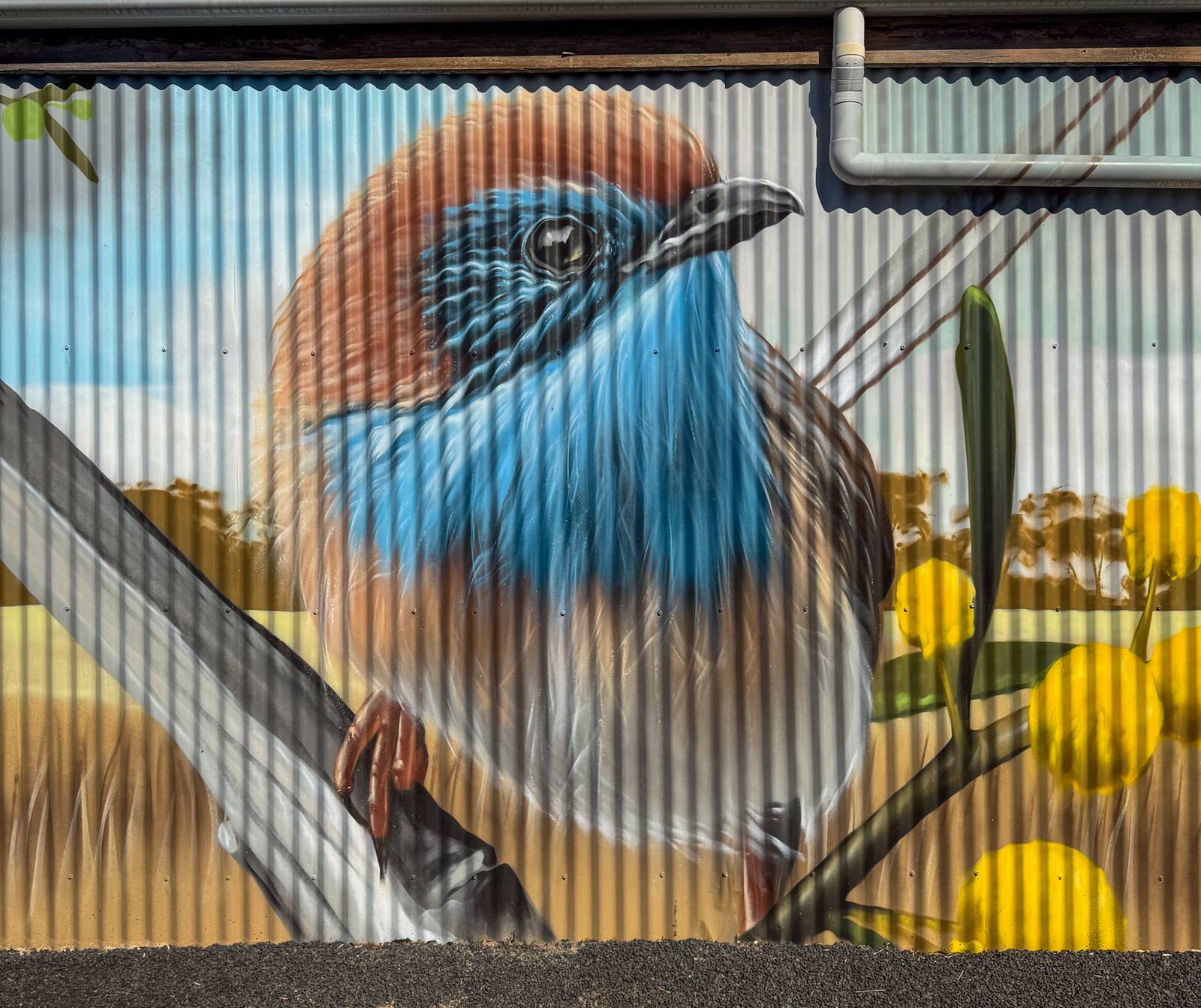 Smug&mdash;Mallee Emu Wren Mural