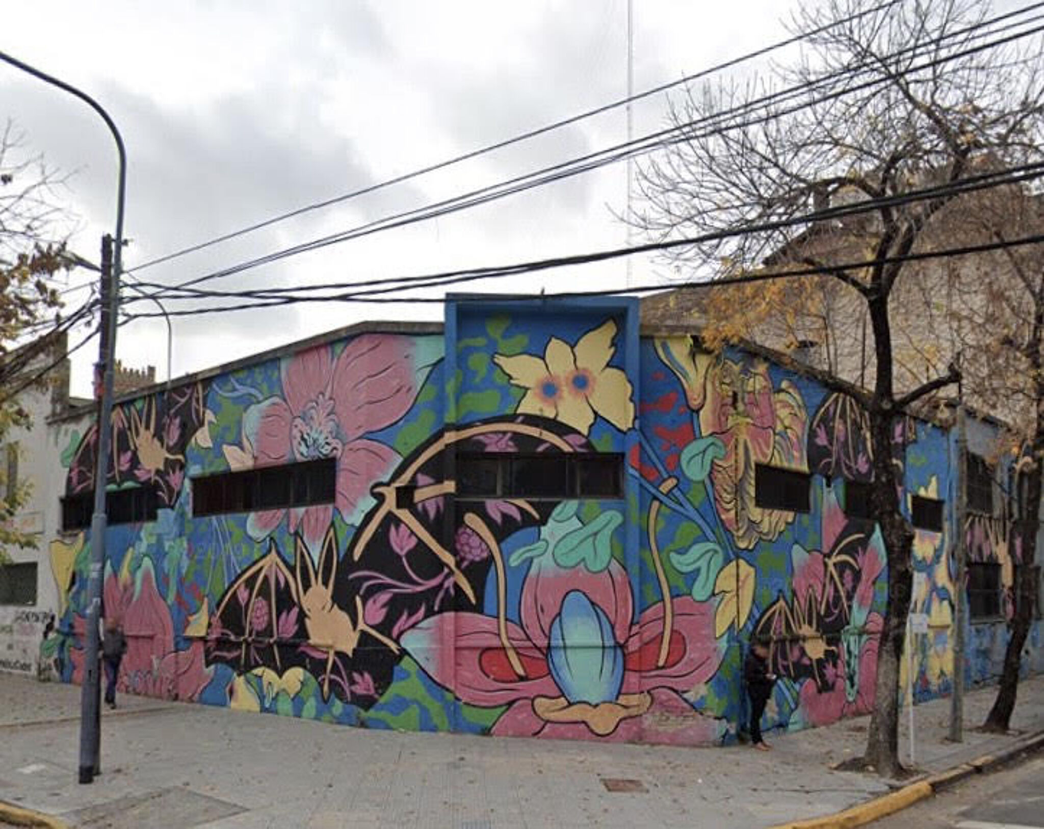 Pablo Harimbat&mdash;Bat in colors