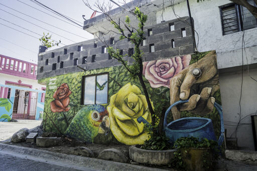 SN / Galería Arroyo Seco