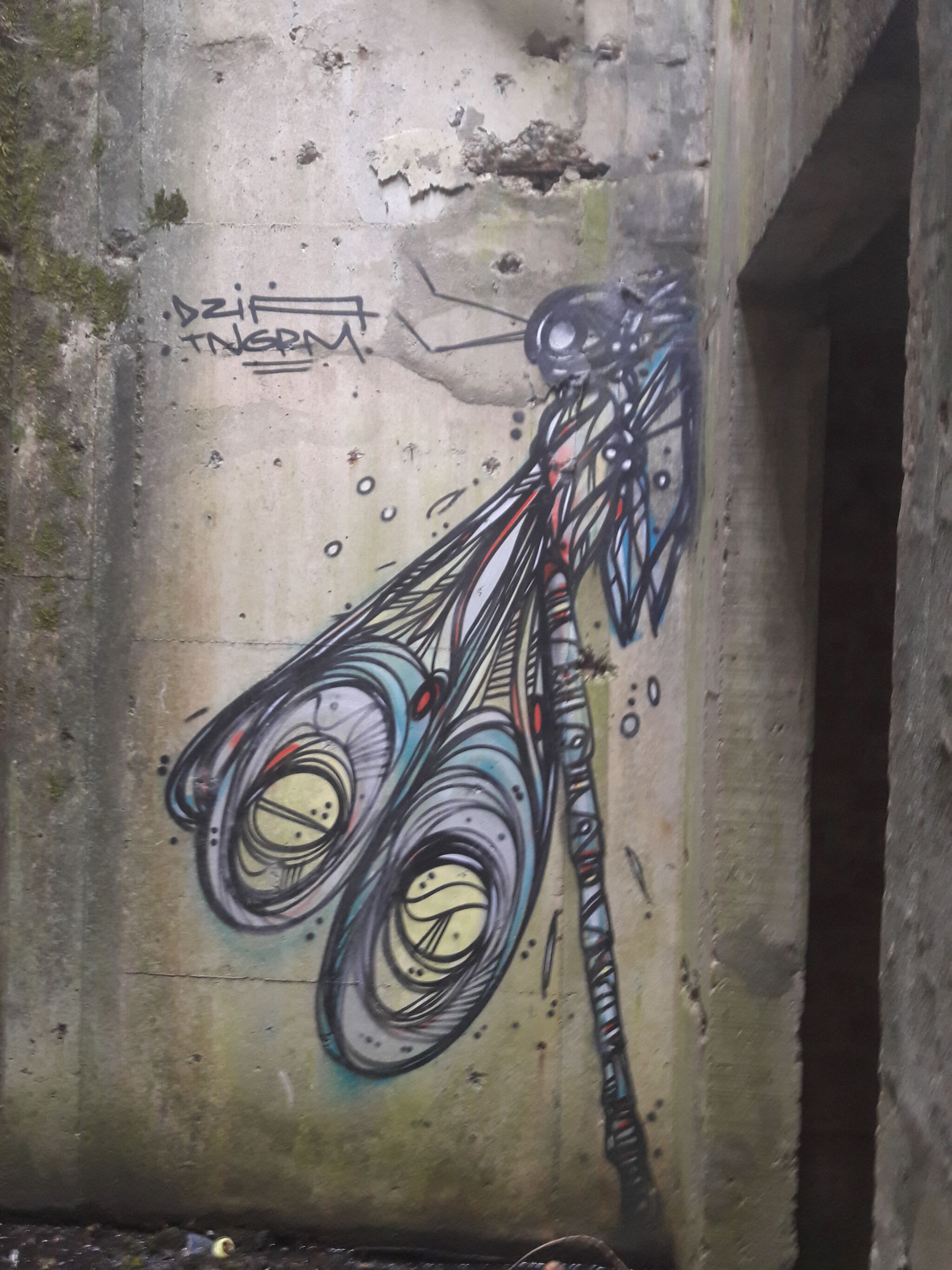 Dzia&mdash;Zygoptera urbex