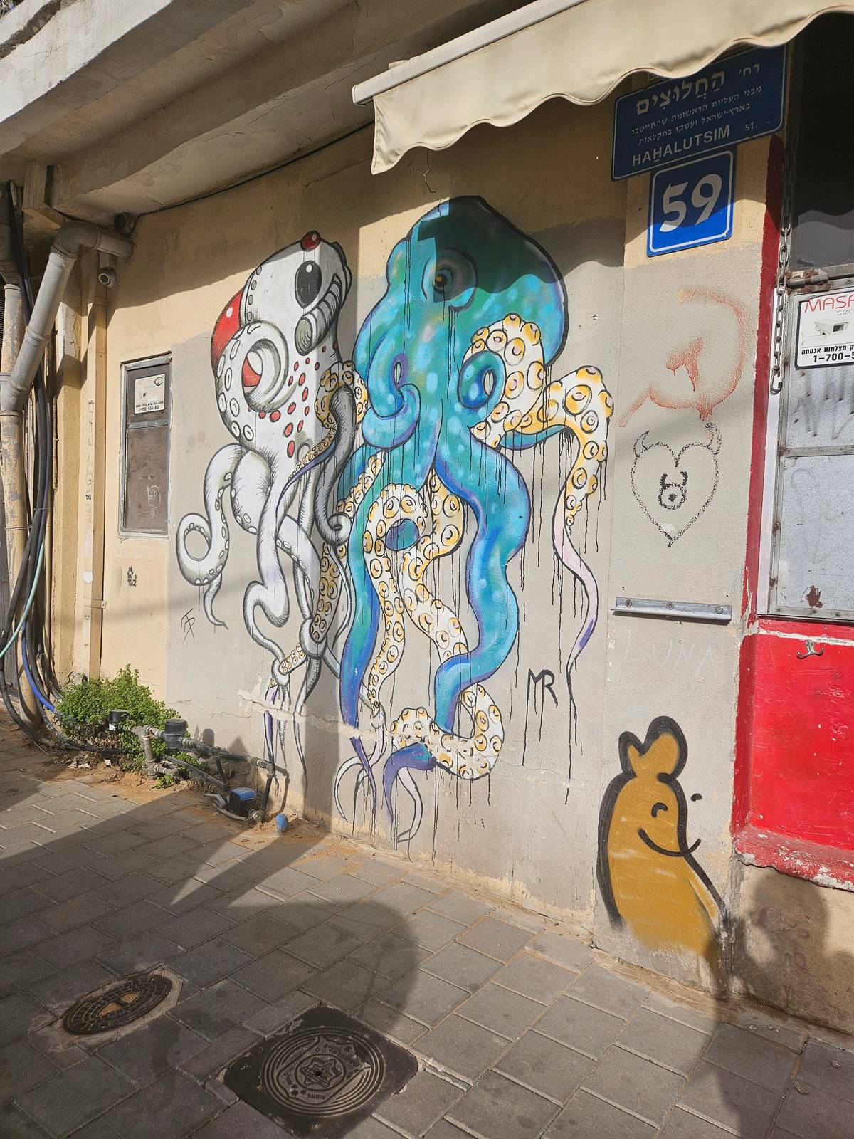 Michal Rubin&mdash;Octopii