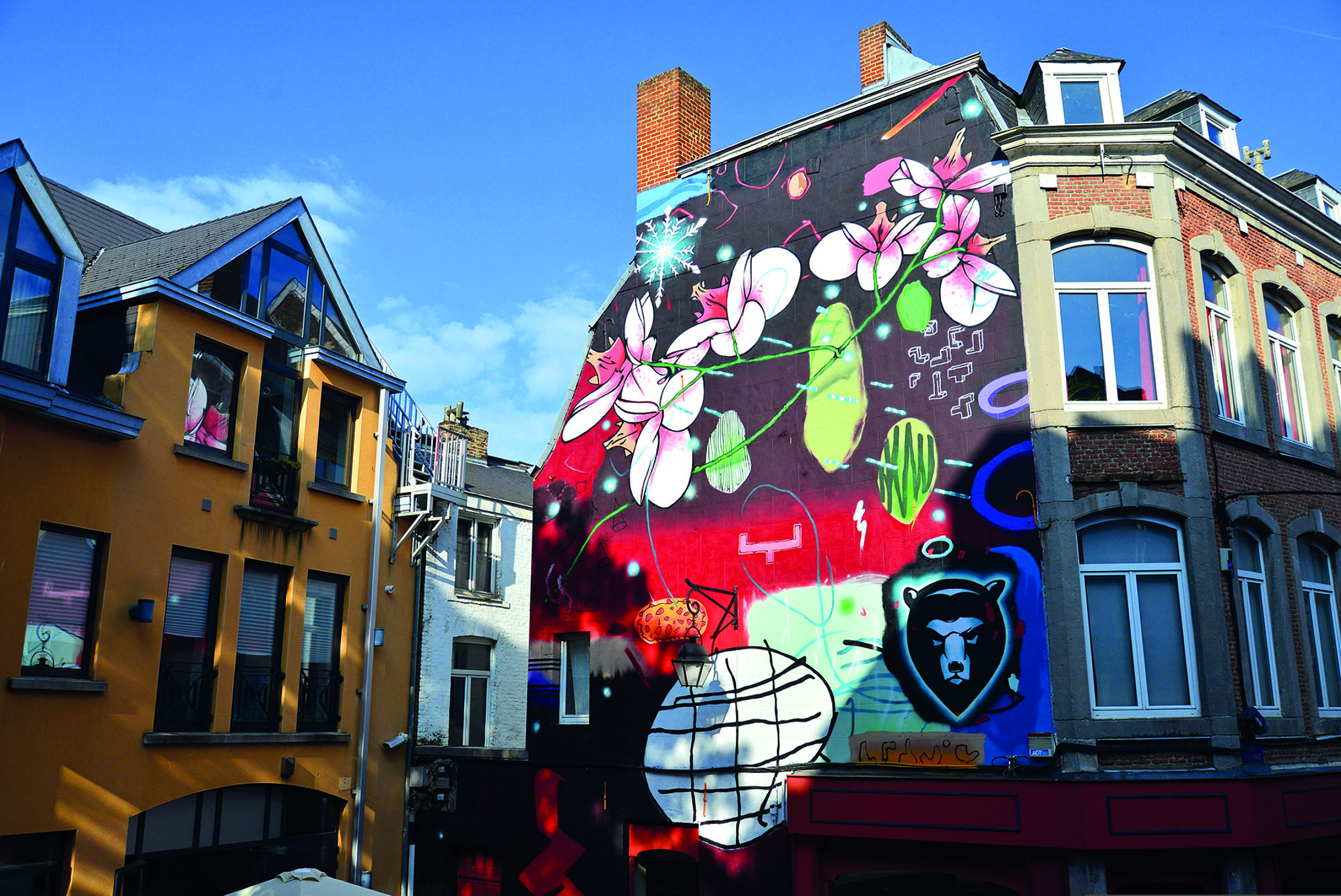 Propaganza Crew, DAN BRAULT&mdash;Des fleurs pour Namur