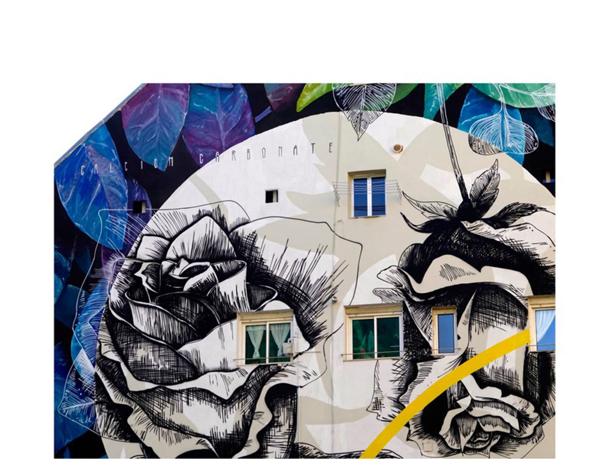 Fabio Petani&mdash;Calcium Carbonate & Rosa Chinensis
