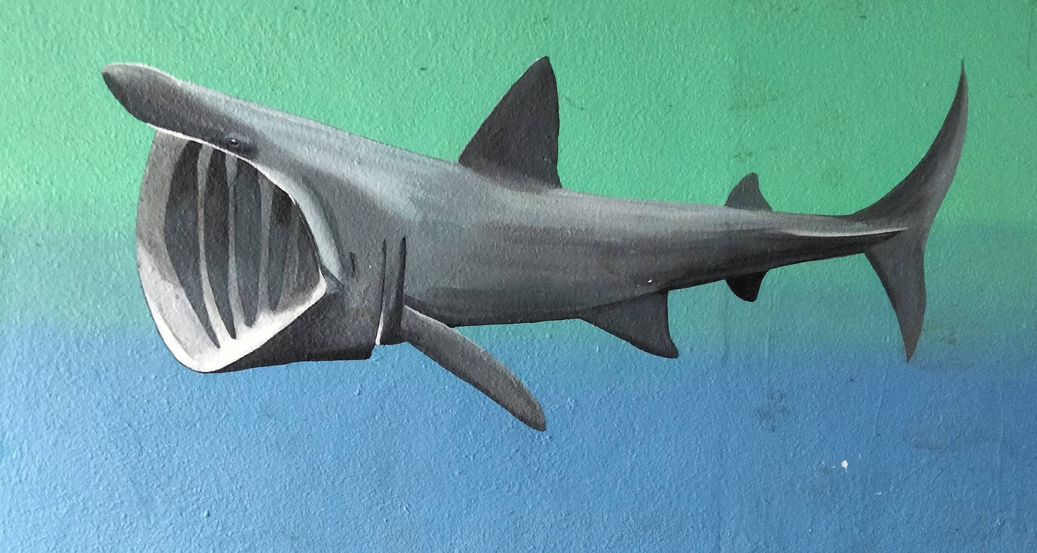 Mrs Murals&mdash;Ocean Subway