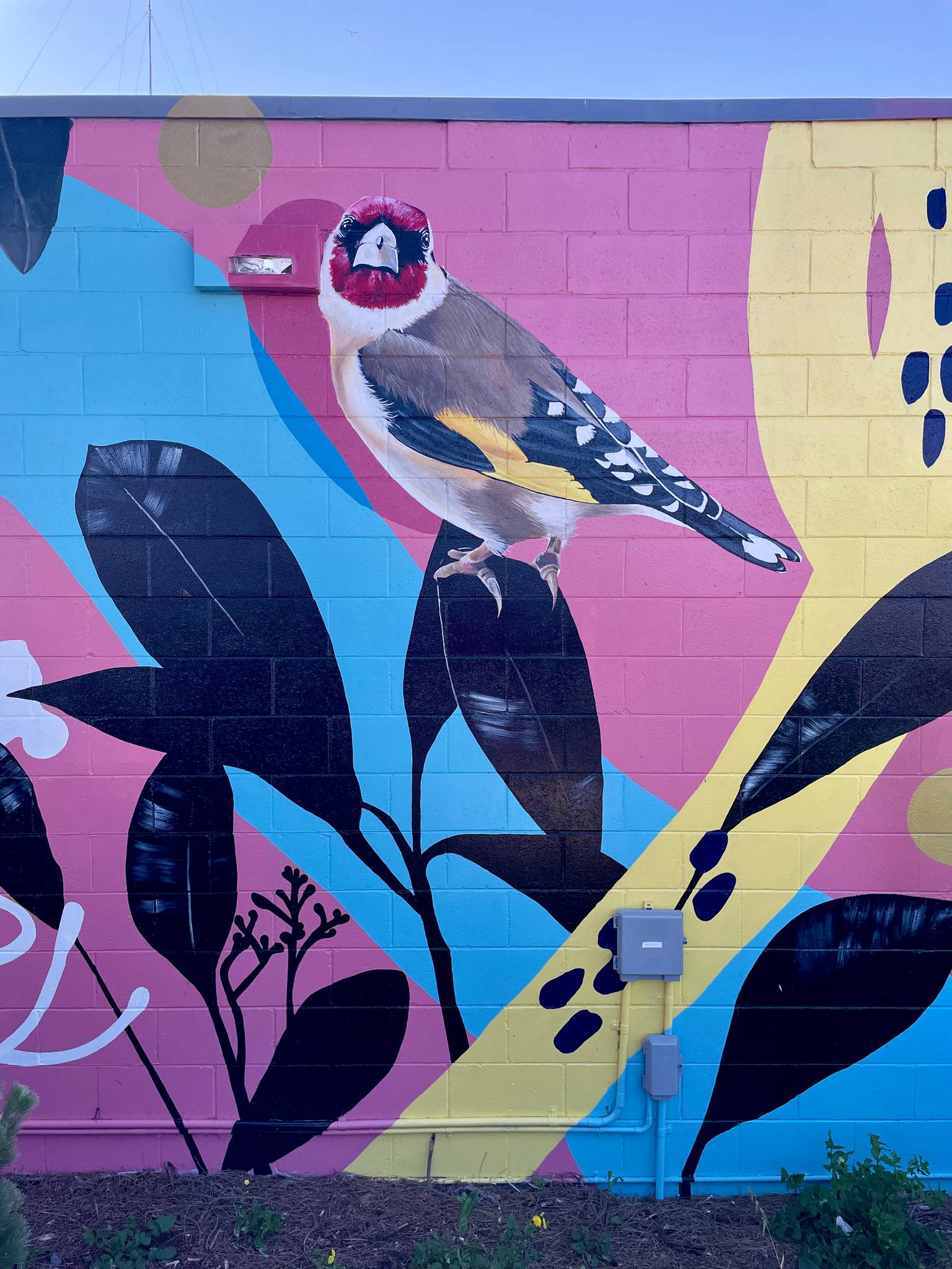 Melanie Caple&mdash;Locals
