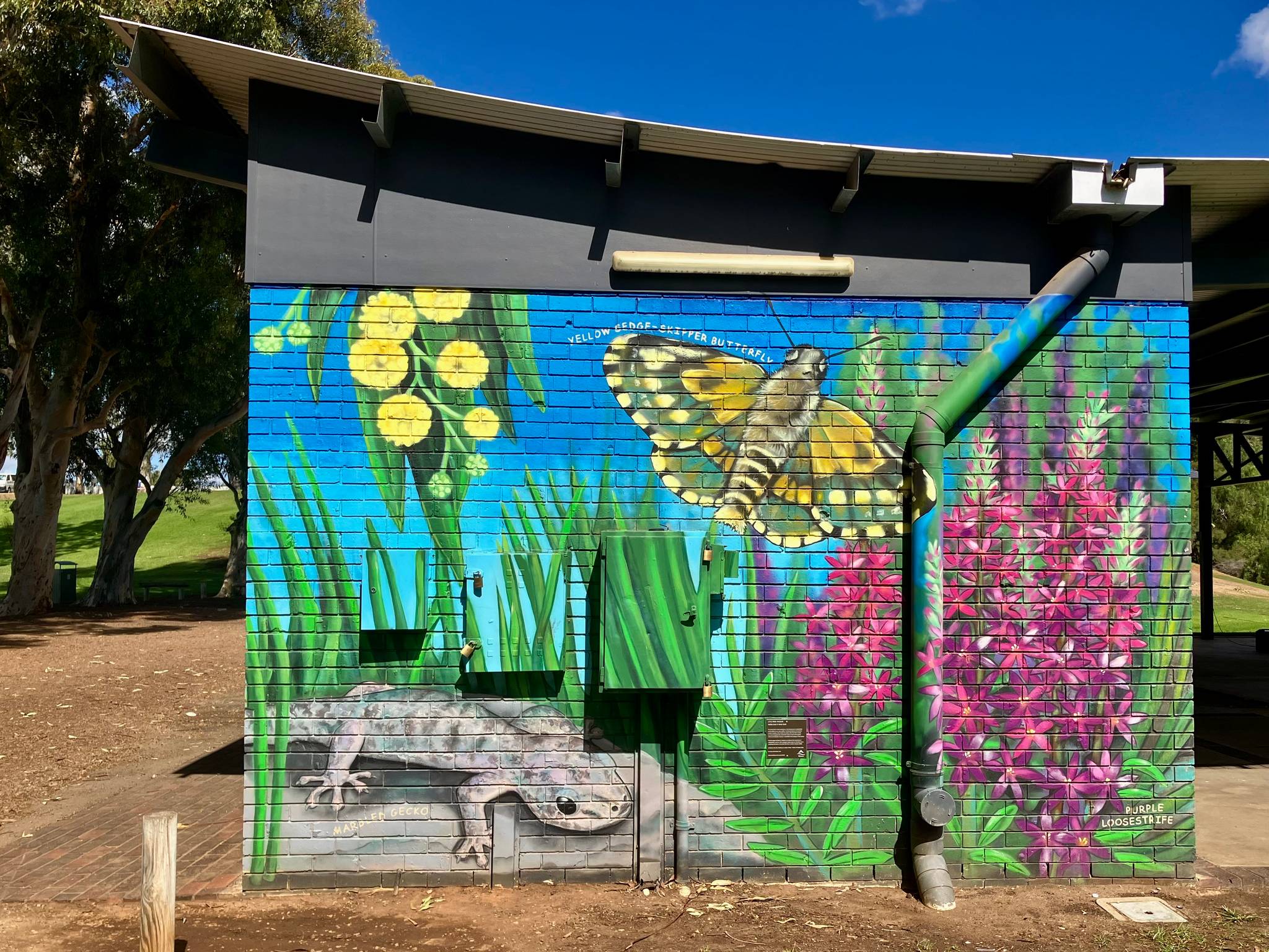 Melita Scott, Keira Scott&mdash;Little Para Wildlife