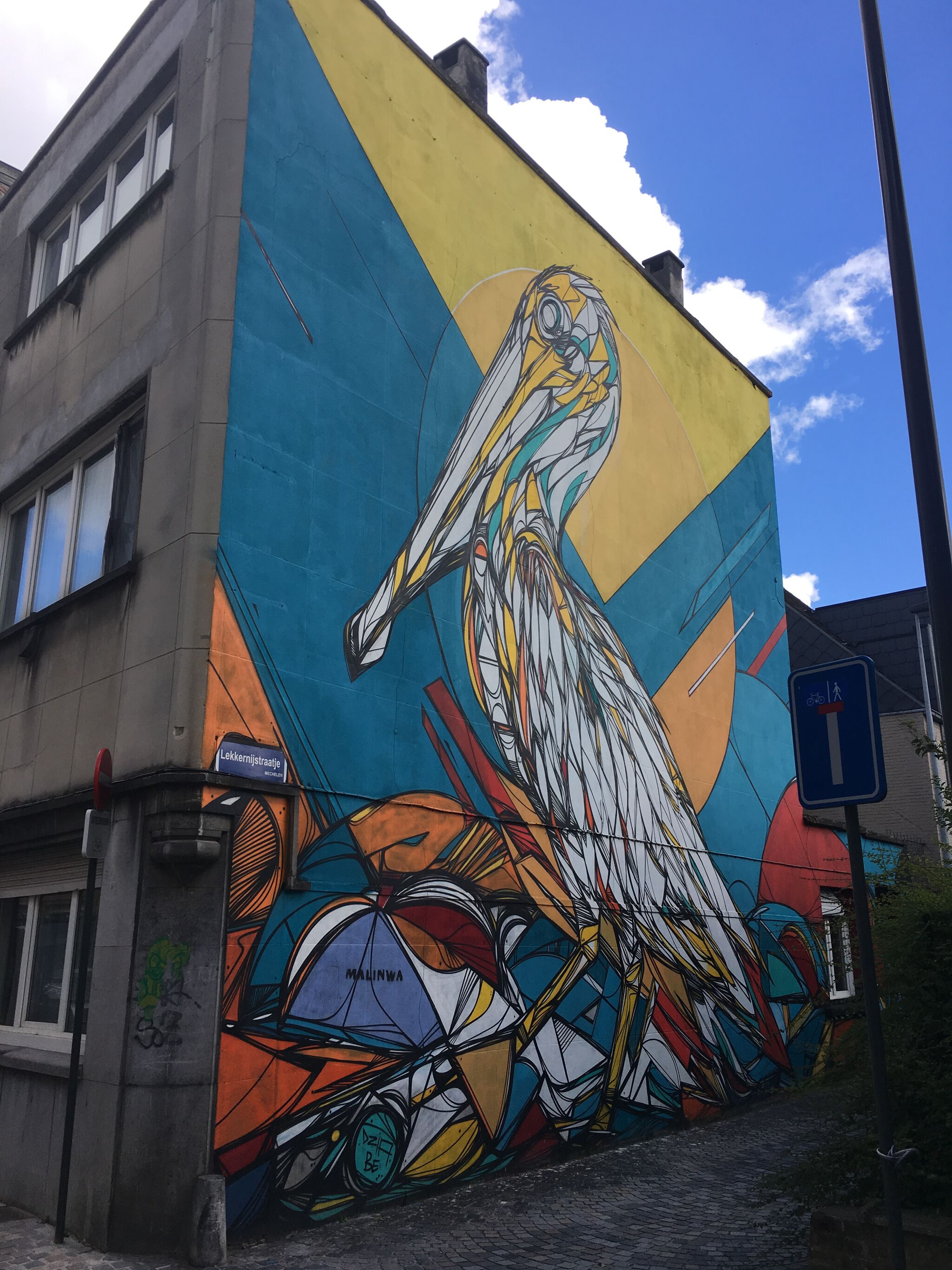 Dzia&mdash;The Pelican