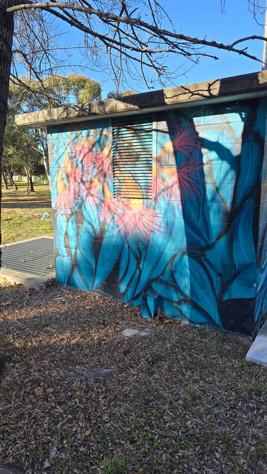 Graffik Paint&mdash;Red Wattlebird