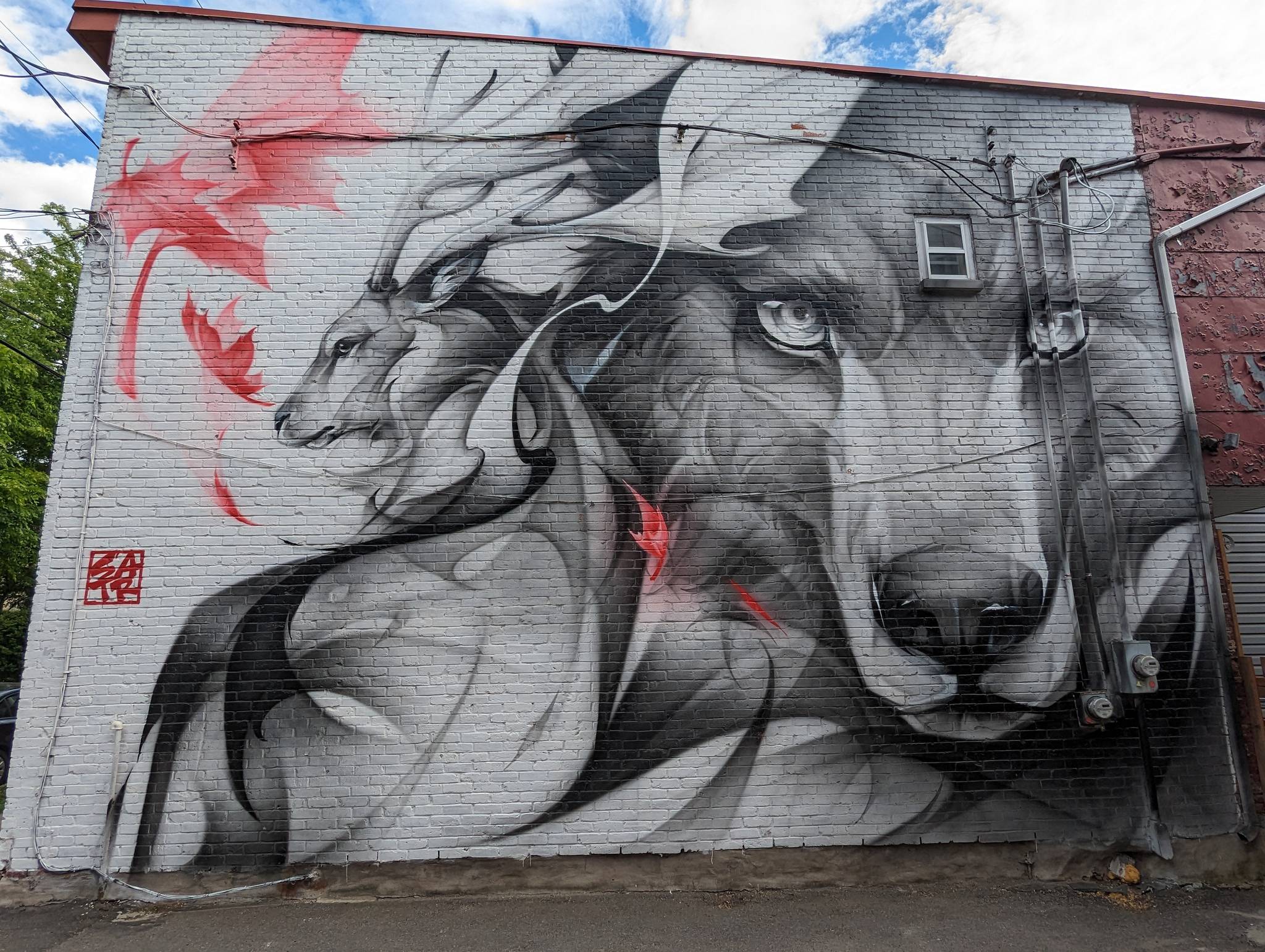 Satr, Street Art In Action&mdash;Canada
