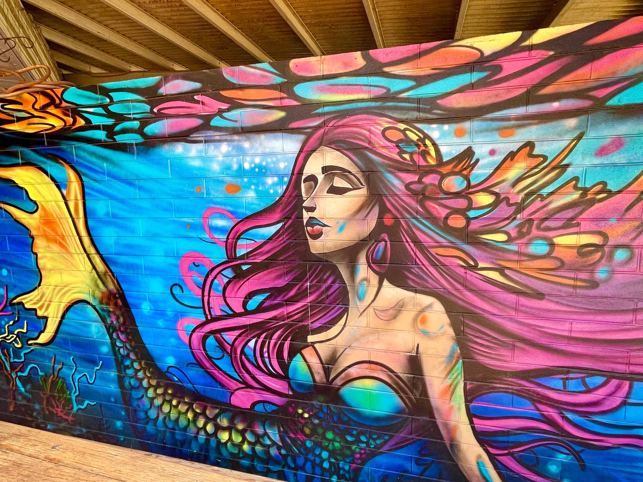 Dean de Villiers&mdash;Dampier Mermaid