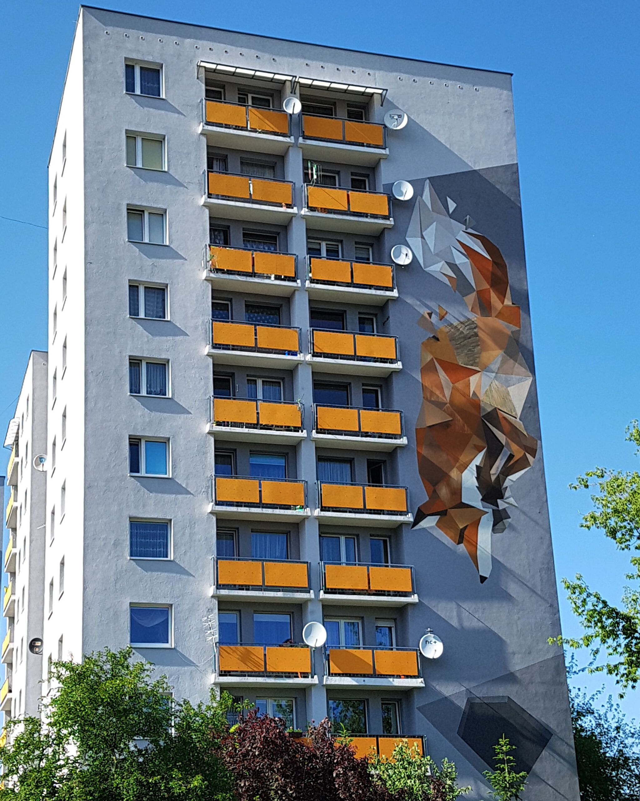 Jakub Bitka, Łukasz Chwałek, Biko, Waek&mdash;Fox