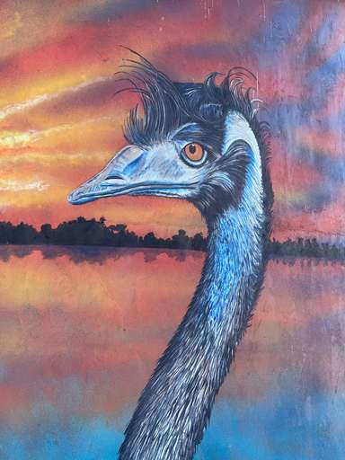 Emu Tank