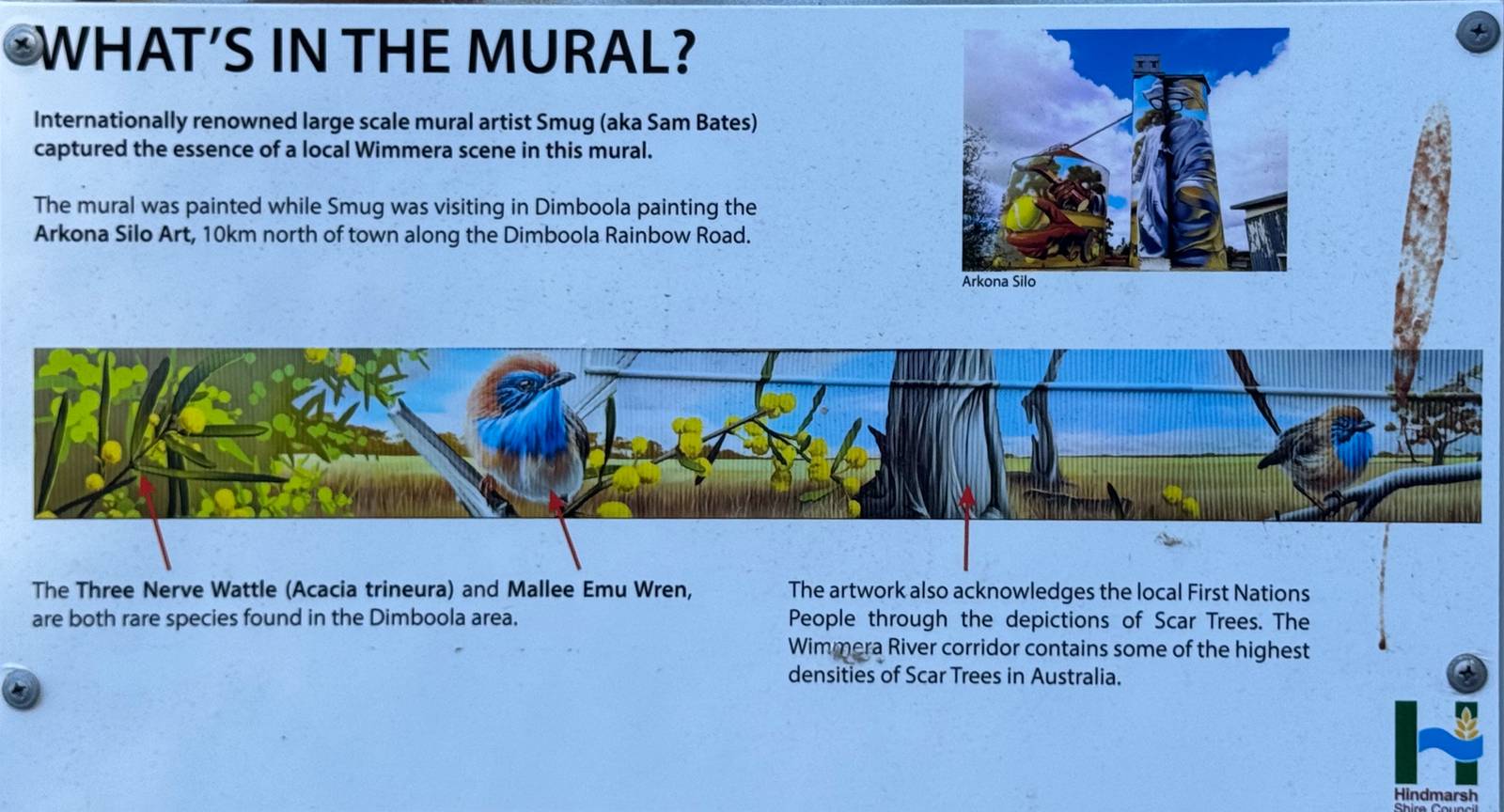 Smug&mdash;Mallee Emu Wren Mural