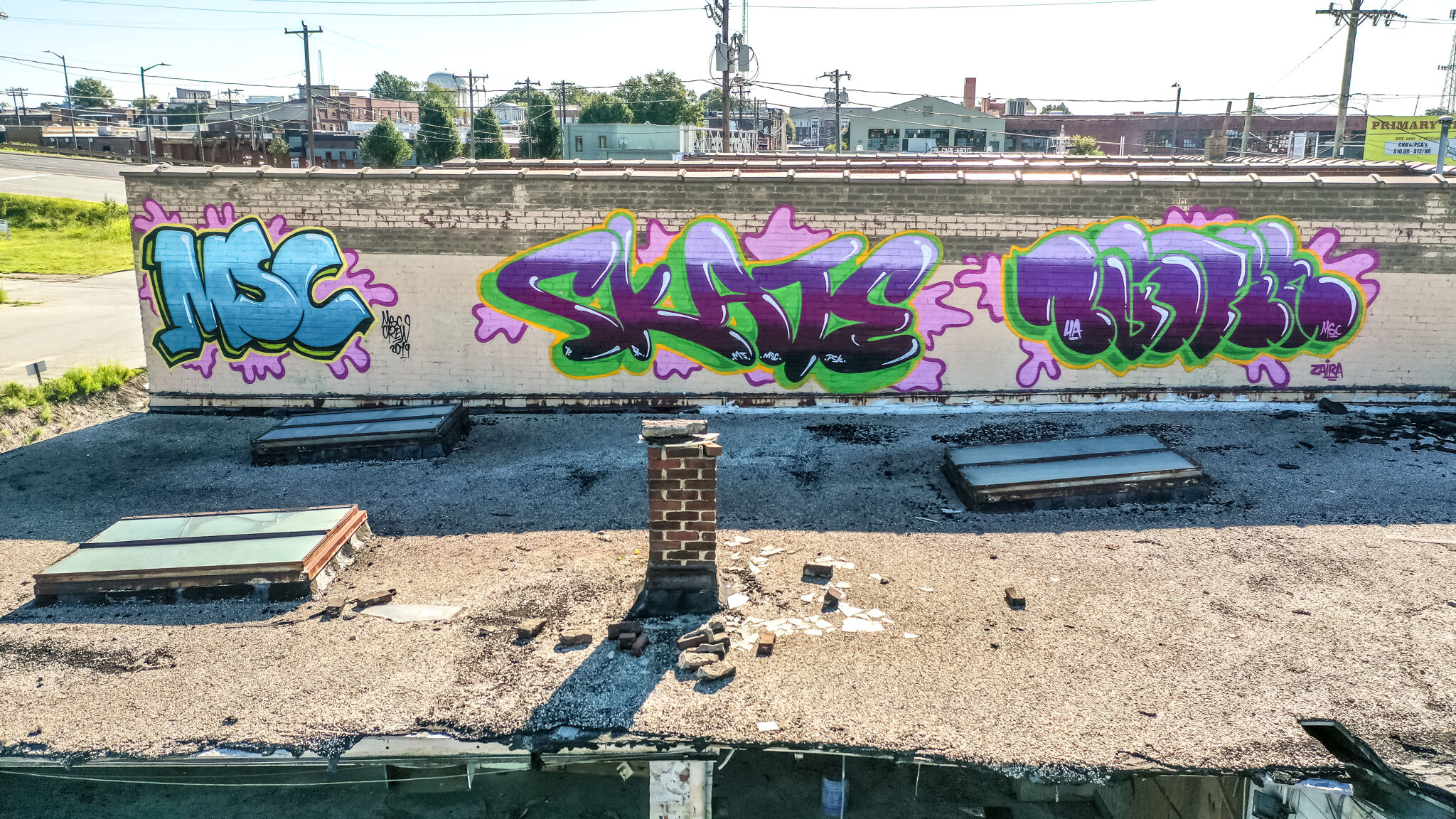 skatinchinchilla, Bustart&mdash;Untitled