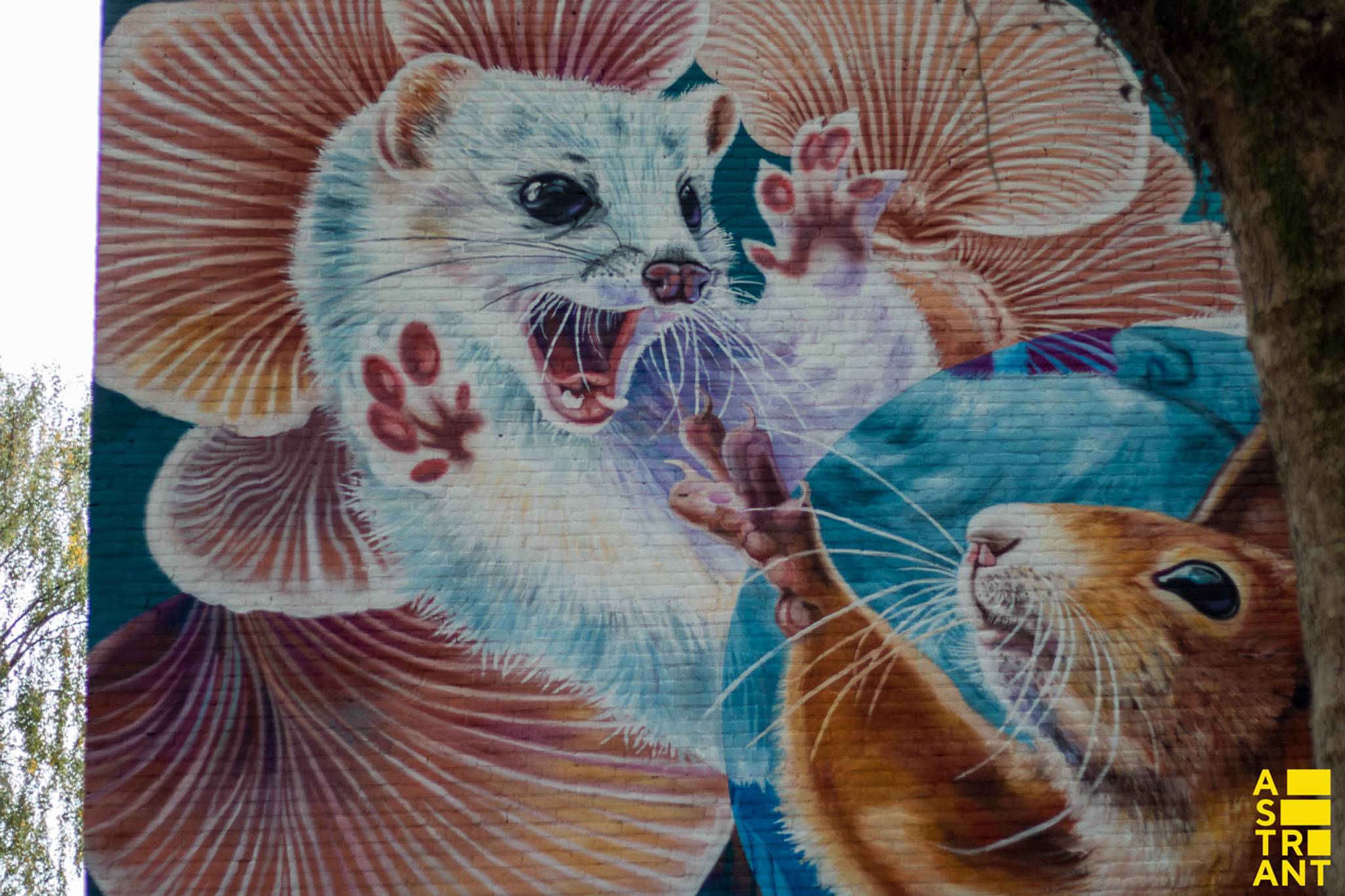 Nina Valkhoff&mdash;Ermine in wintercoat and a squirrel