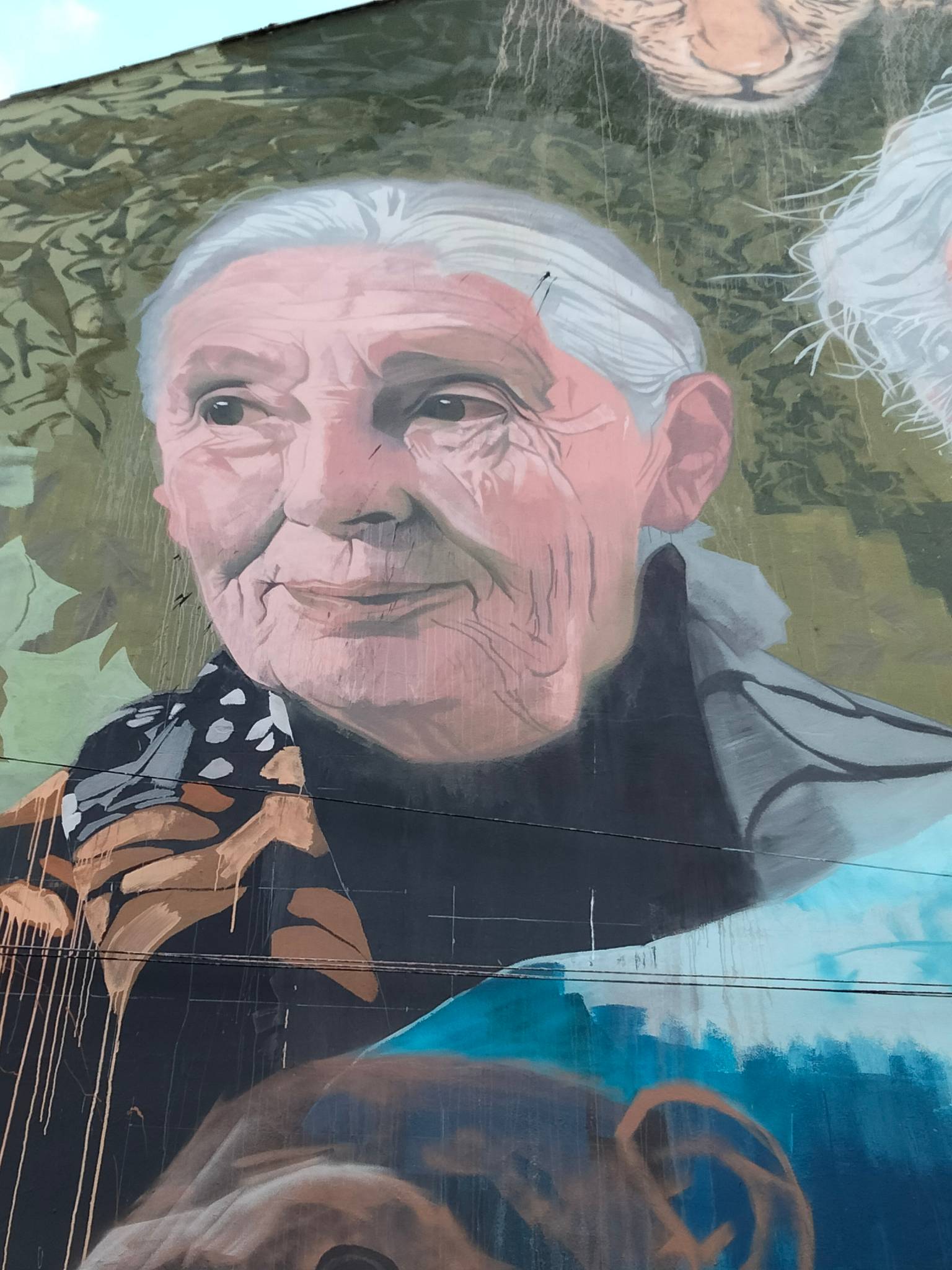 Joe Greenaway&mdash;David Attenborough/ Jane Goodall