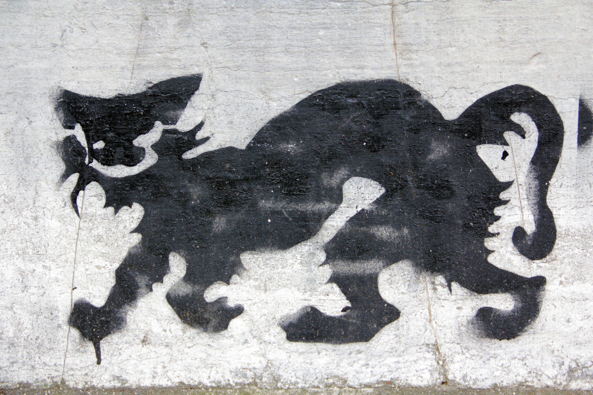 Unknown - Aachen&mdash;Black Cat