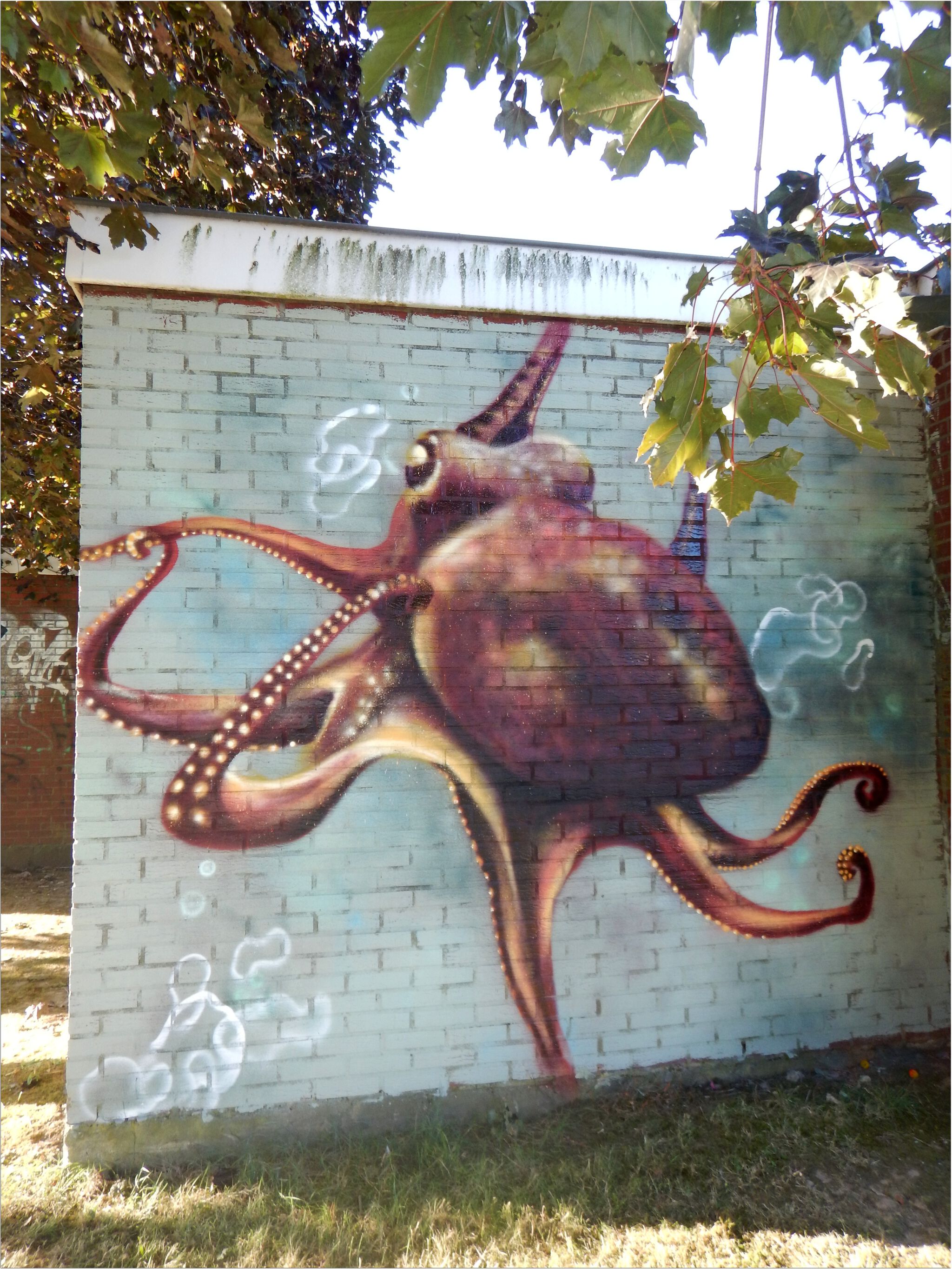 Various Artists&mdash;Wall of fame Fléron 2018