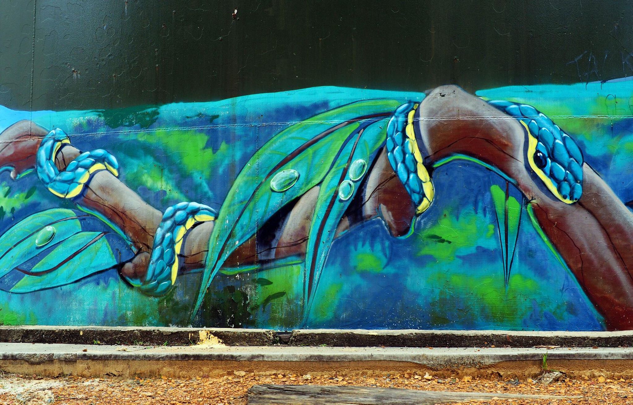 Scott Nagy, Krimsone&mdash;Mount Riverview Water Tank Art