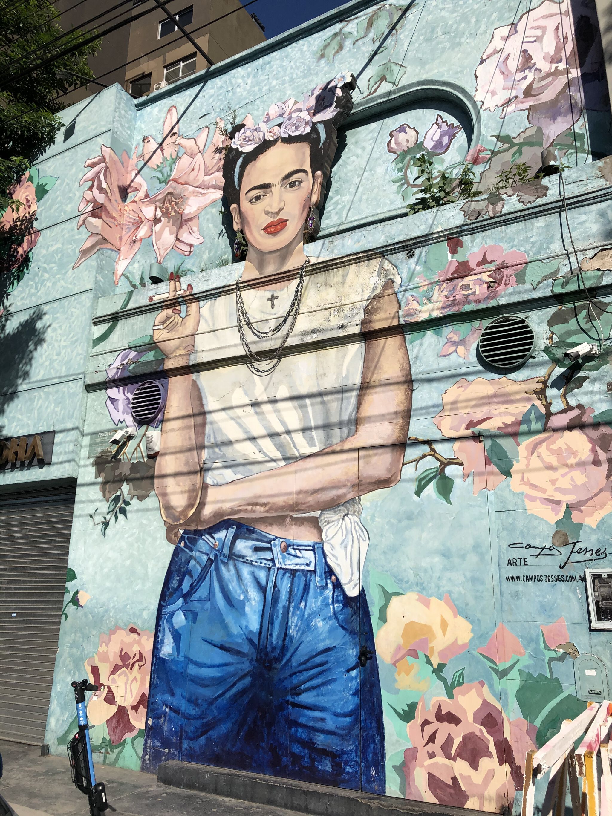 Campos Jesses&mdash;Frida