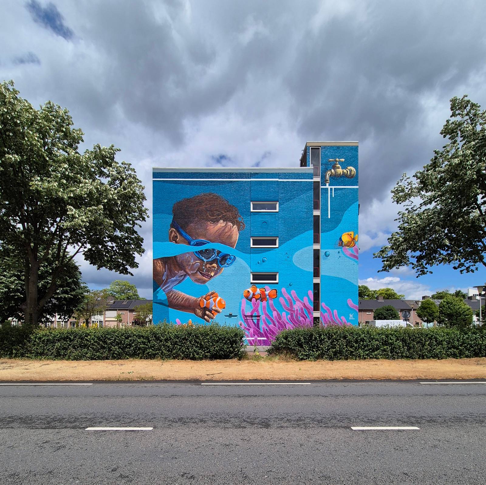 Tim Rodermans&mdash;undefined