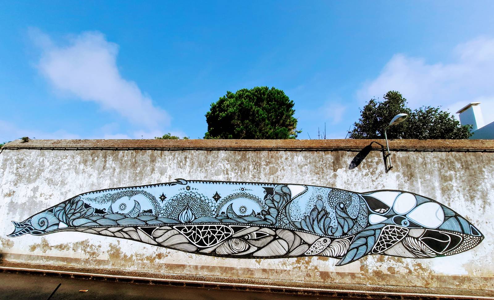 Hazul&mdash;Baleia Azul