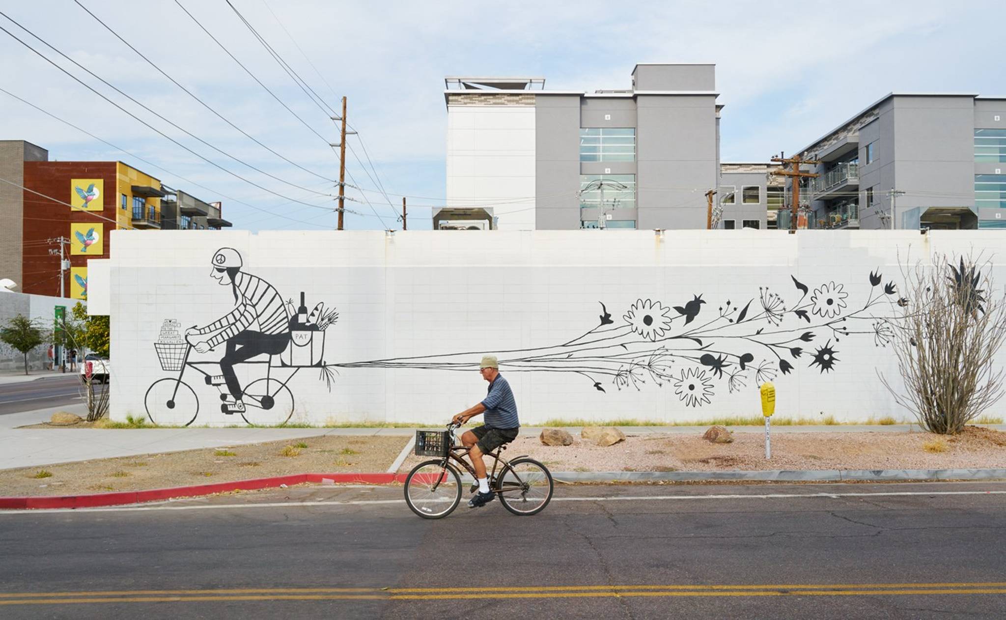 Carrie Marill&mdash;The Bicycle