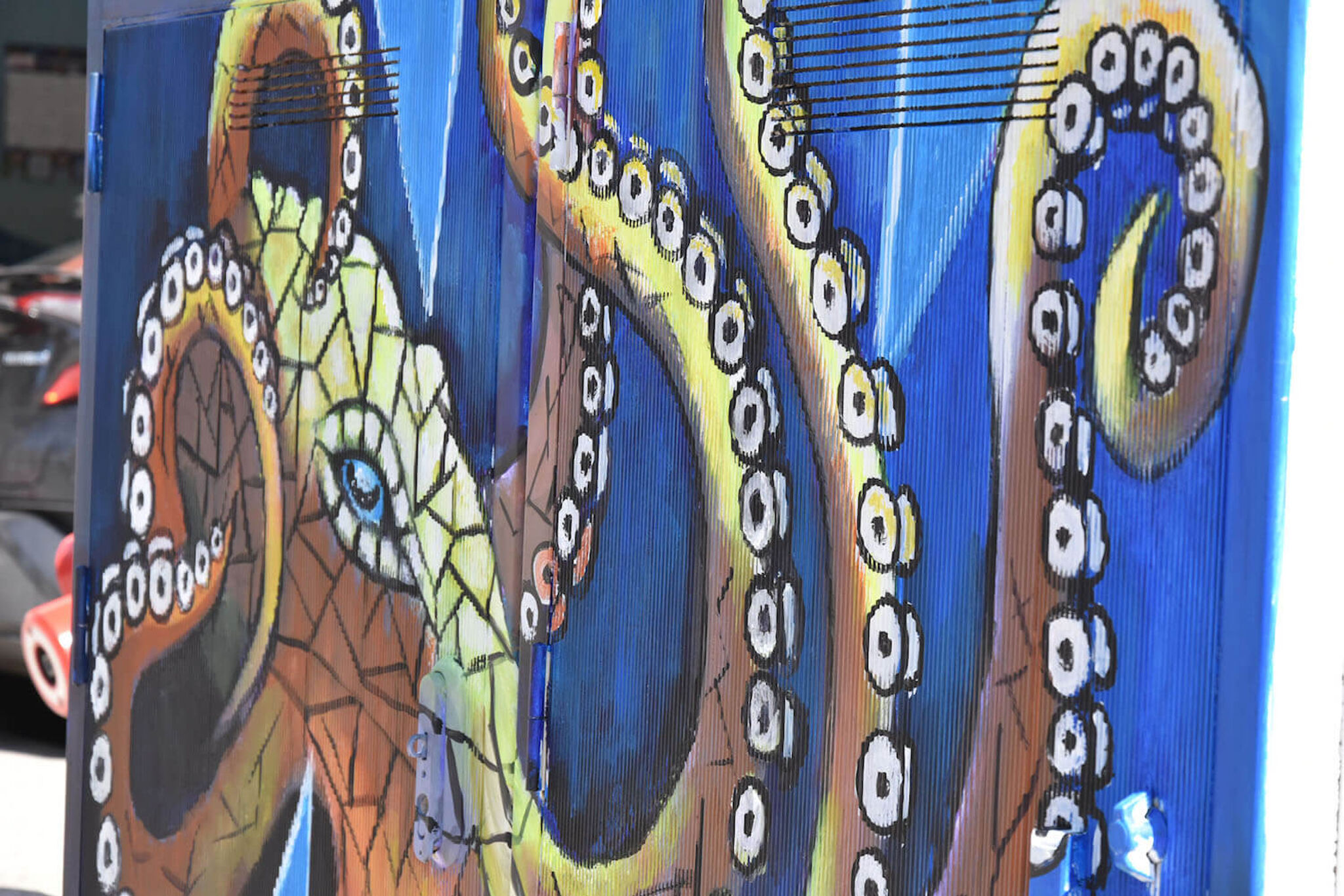 Flag&mdash;Octopus