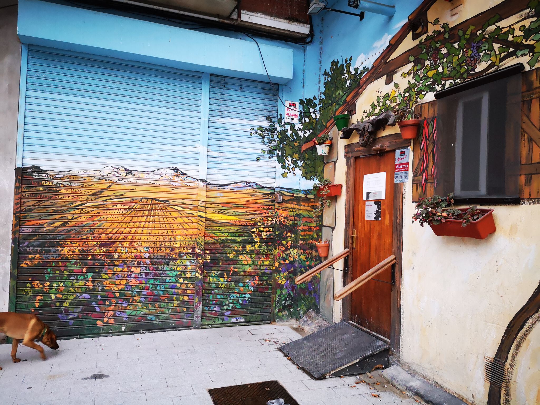 Pakillo&mdash;Bodeguilla Araba