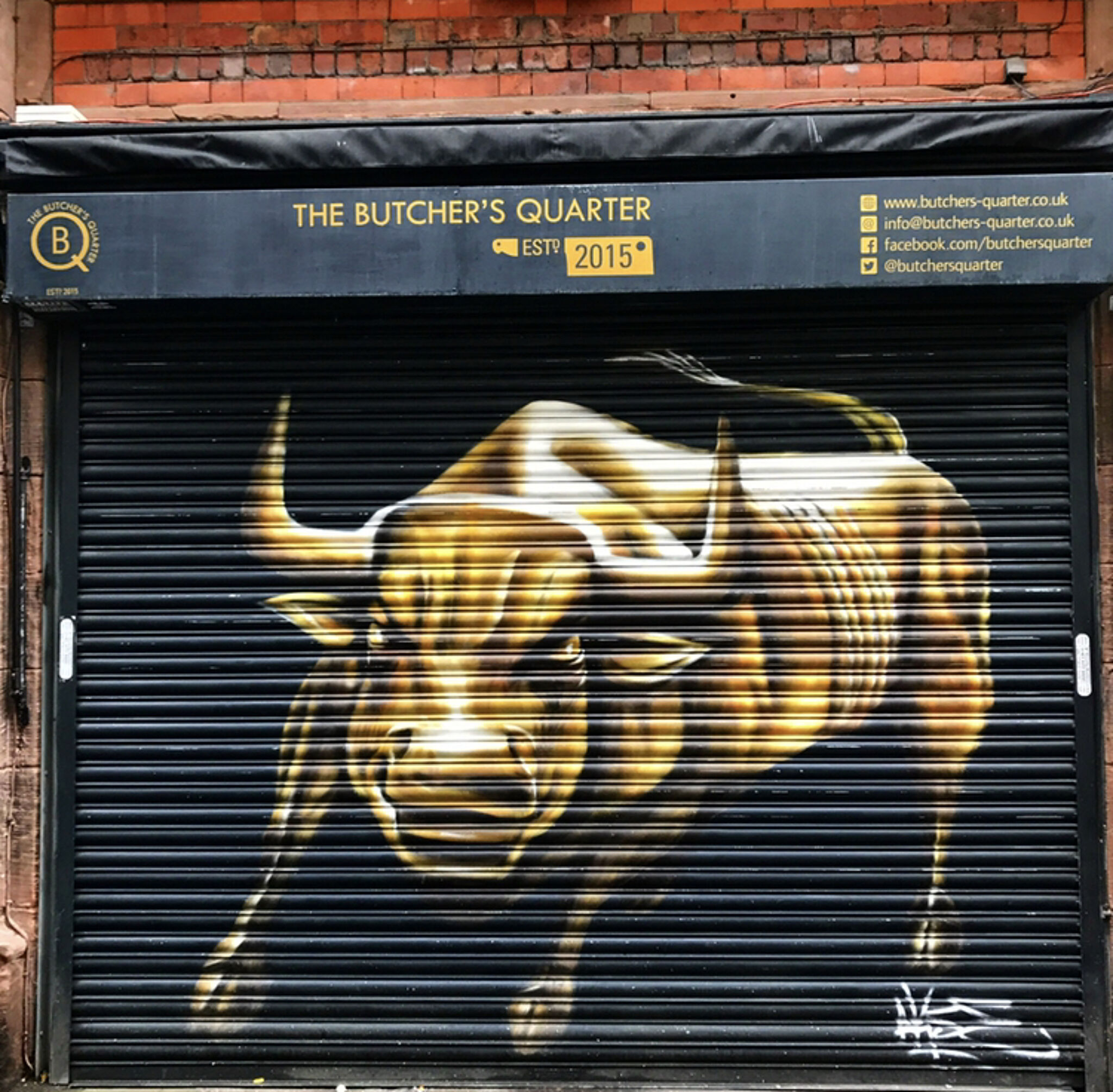 Akse&mdash;Bull