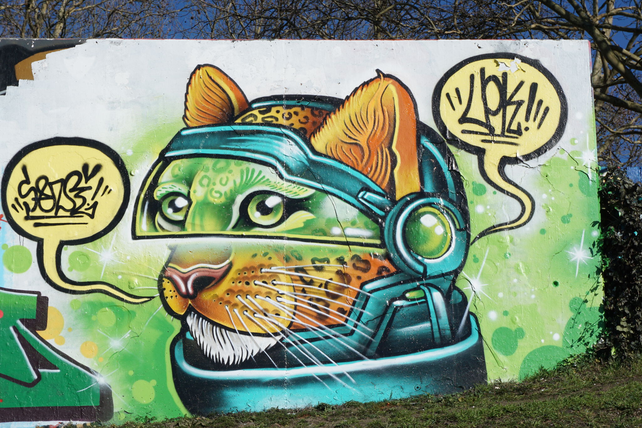 Sander Valentijn&mdash;Astronaut Leopard