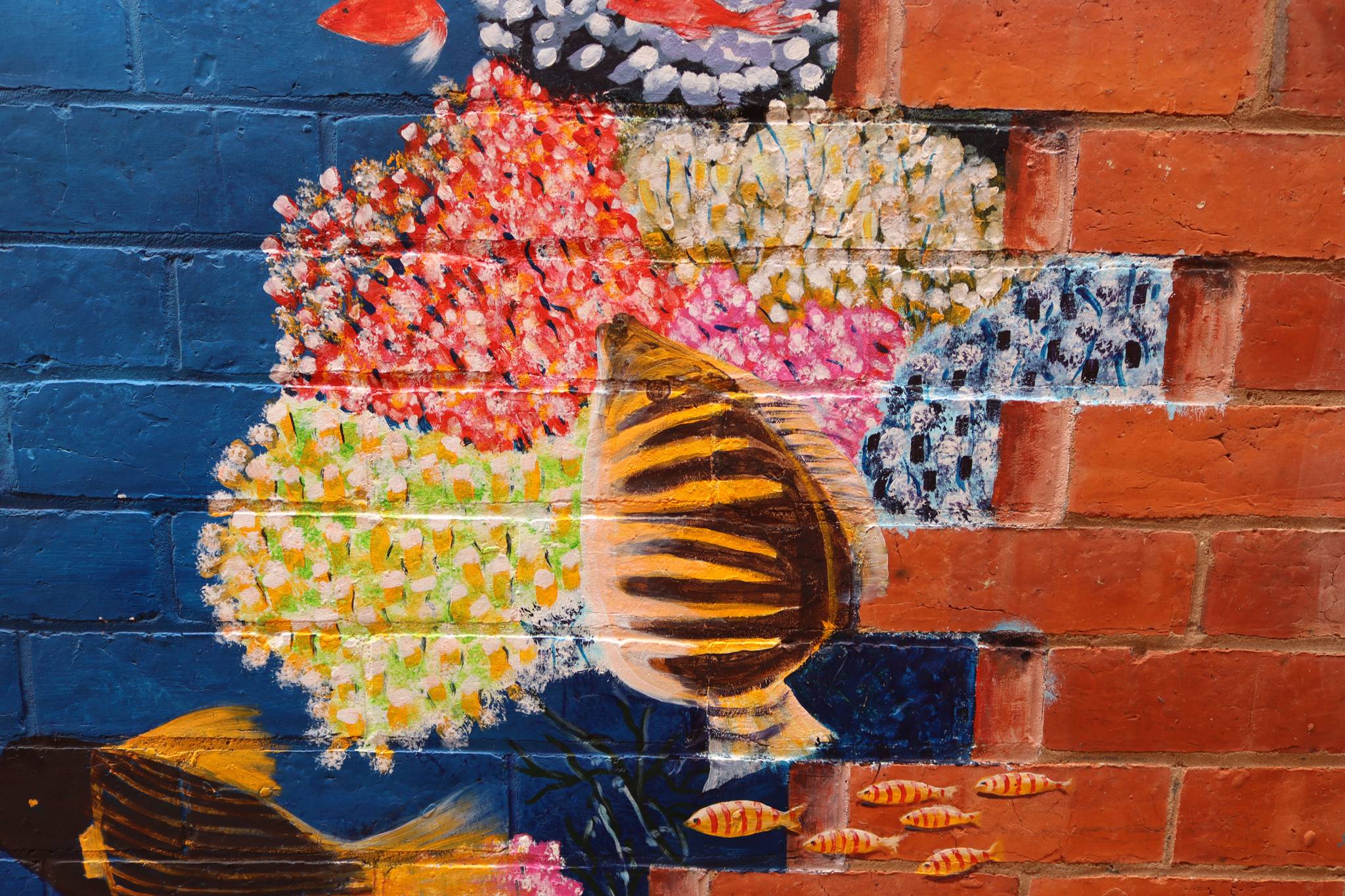 Unknown - Echuca&mdash;undefined