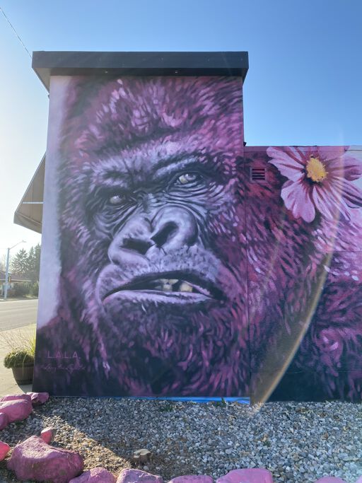 Pink Gorilla