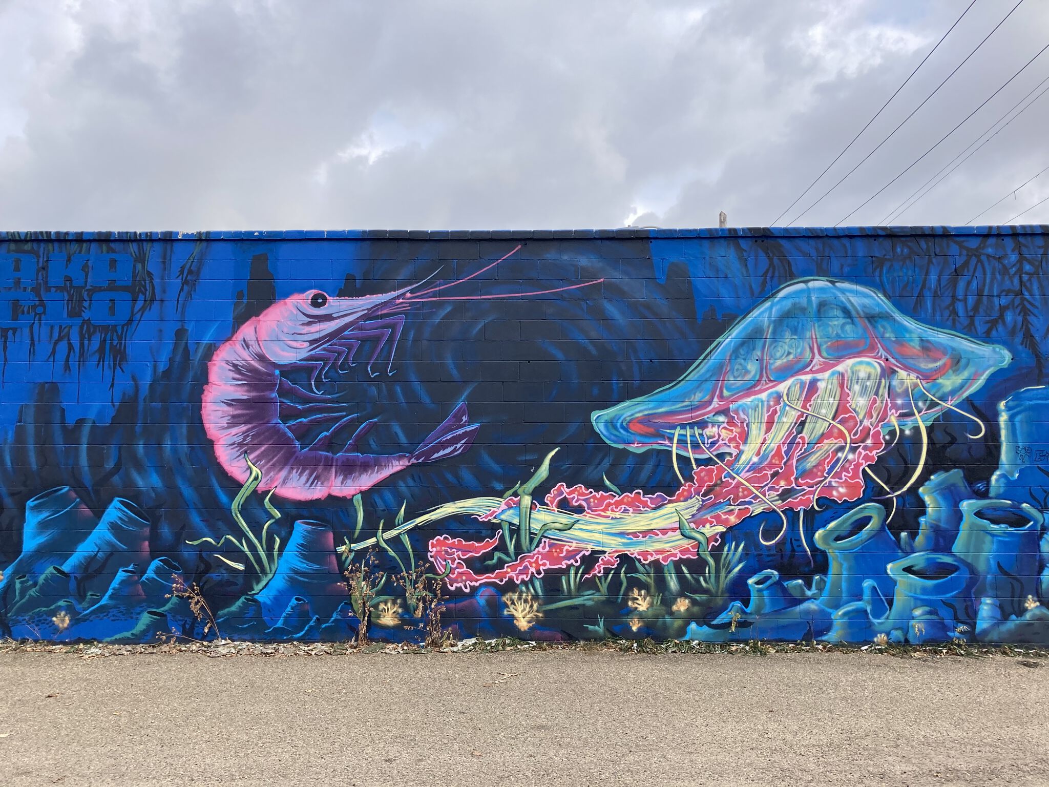 Clay Lowe&mdash;Shrimp and Jellyfish Wall