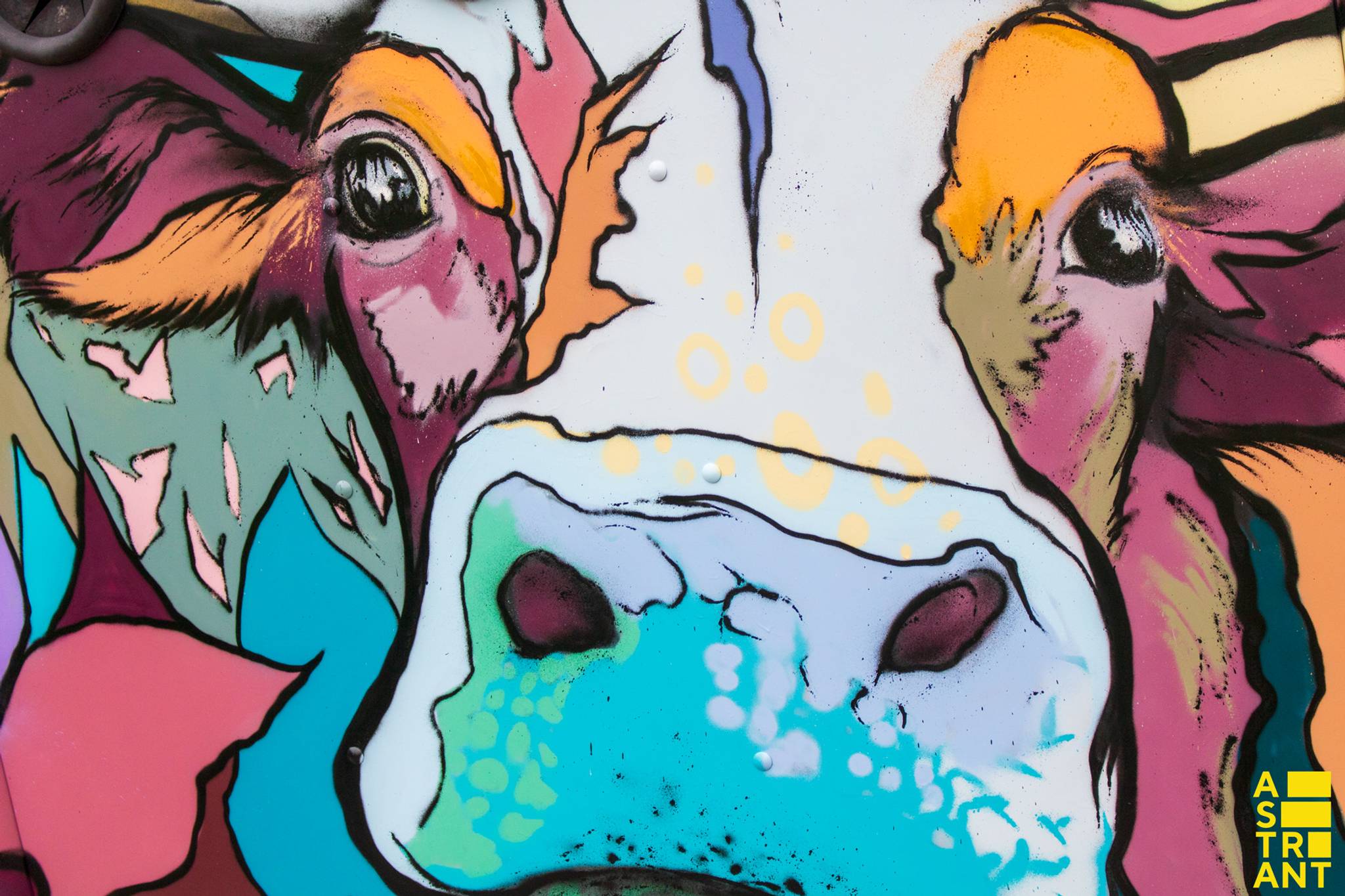 Studio Zepa&mdash;Glasbakkunst - Otterlo