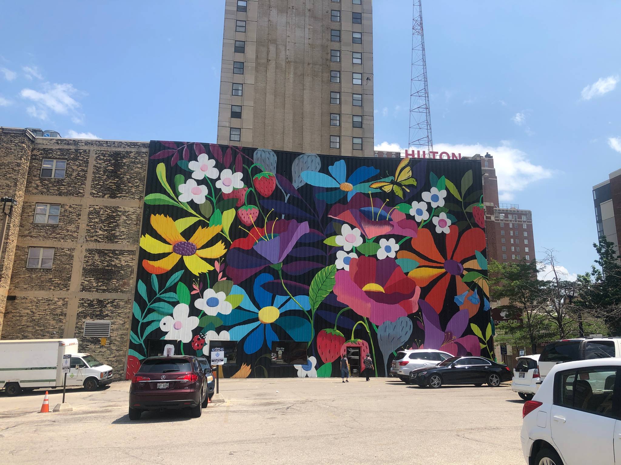 Emma Daisy Gertel&mdash;WESTOWN IN BLOOM