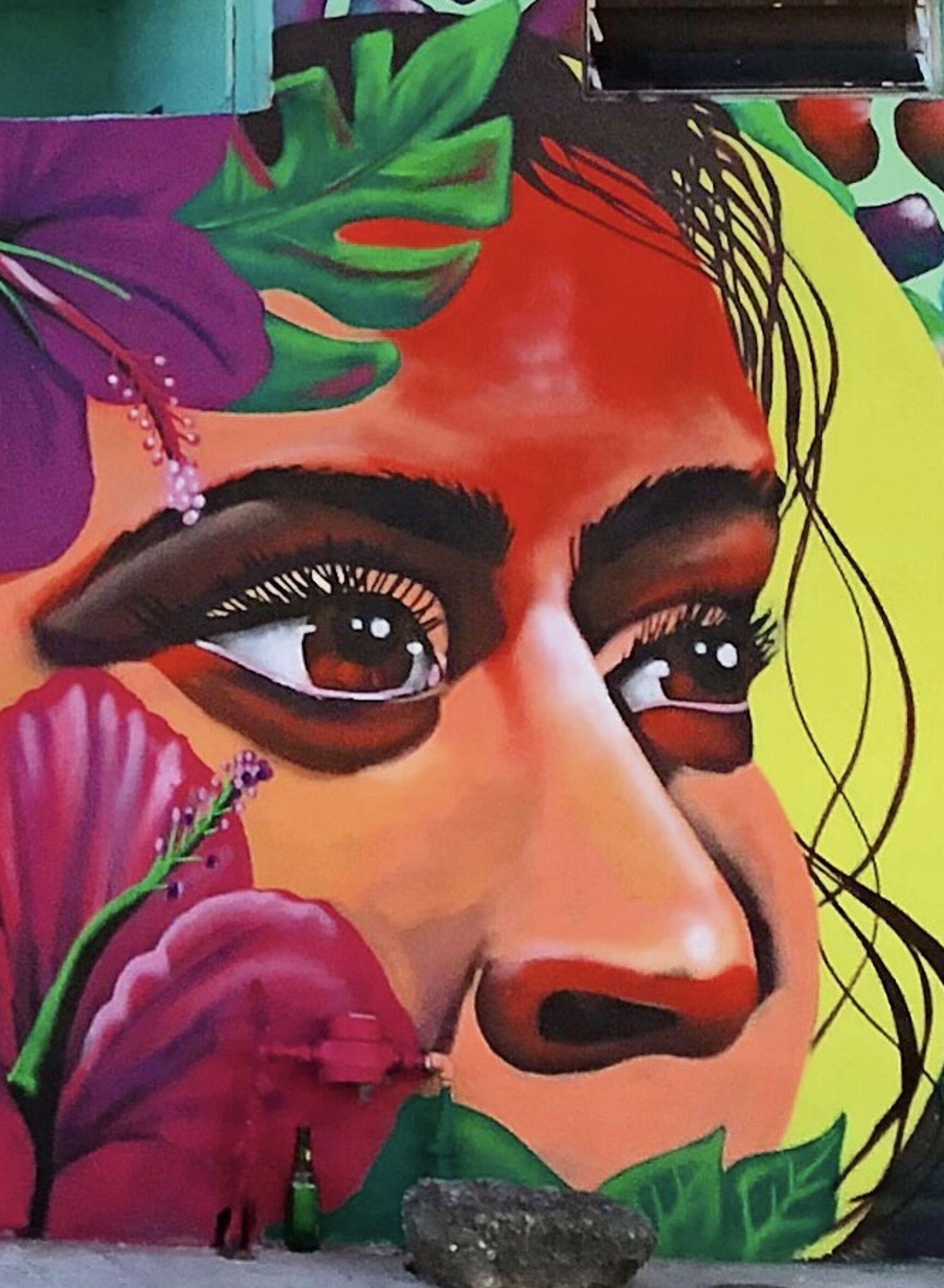 Danielle Mastrion&mdash;La Tortuga