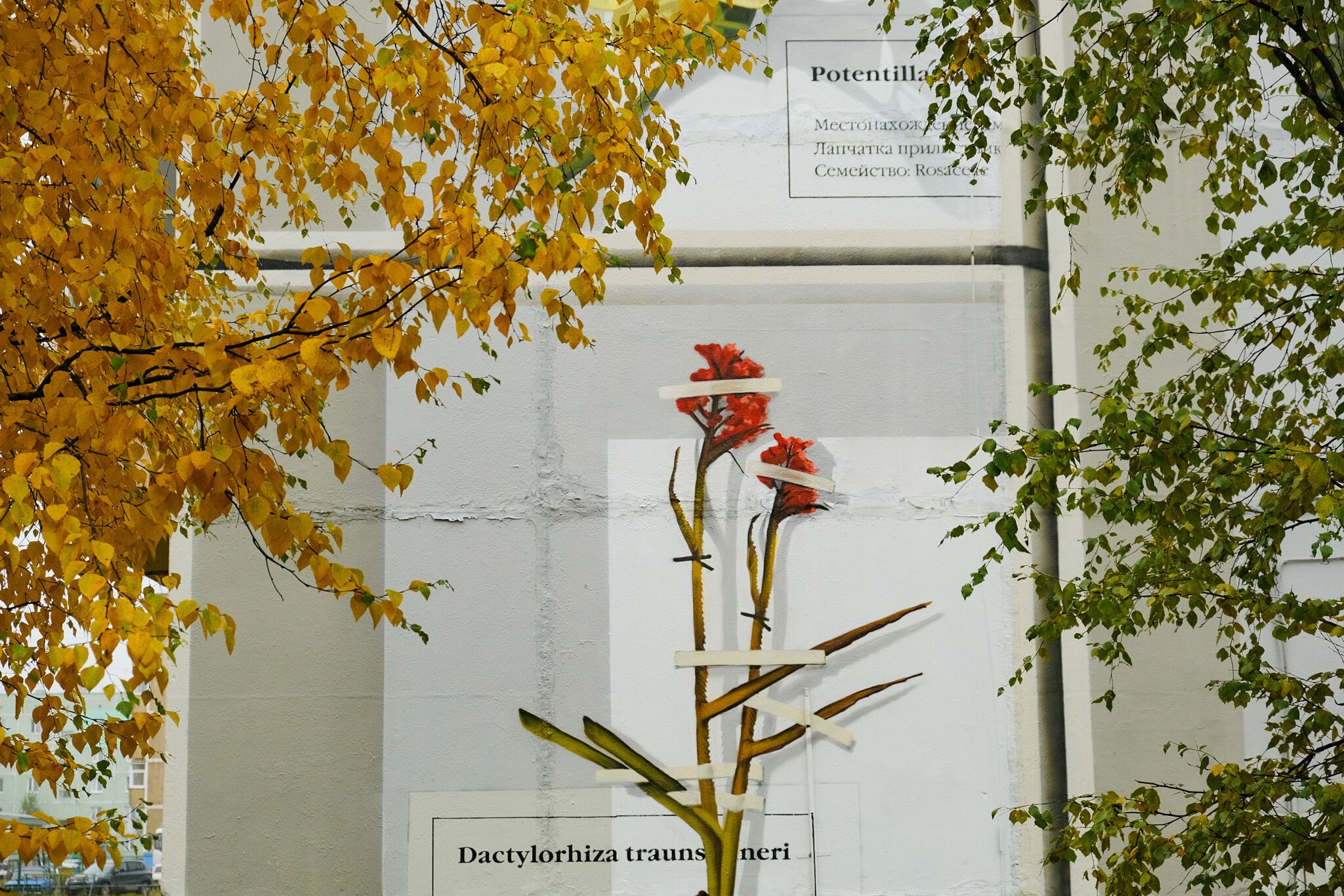 SPEKTR&mdash;Herbarium
