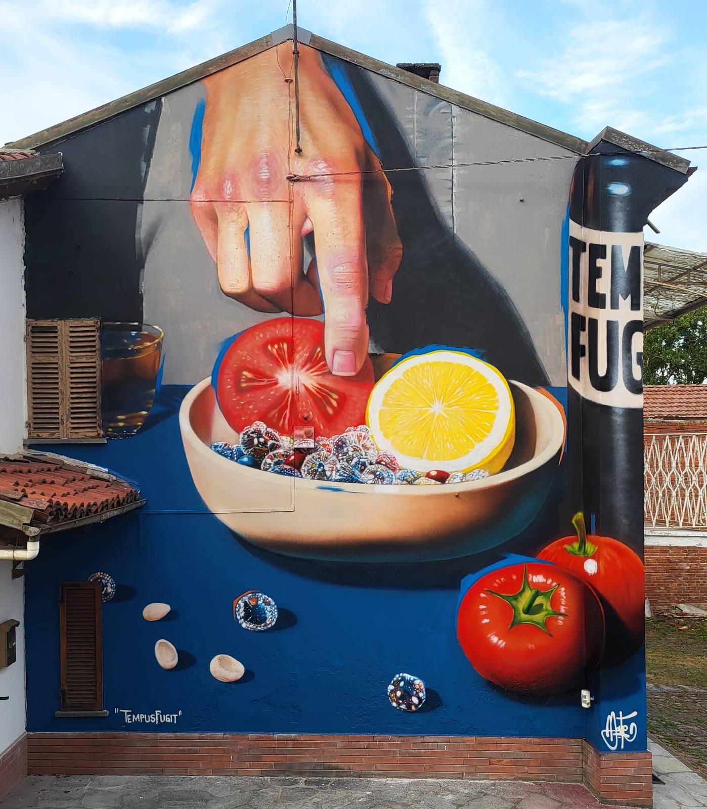 Mate&mdash;Tempus Fugit