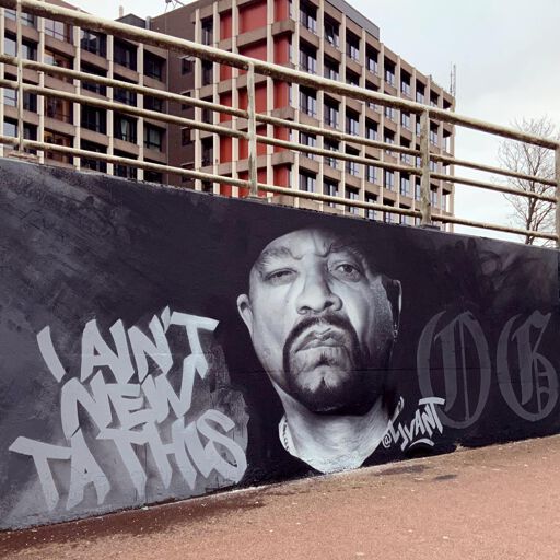 ICE-T