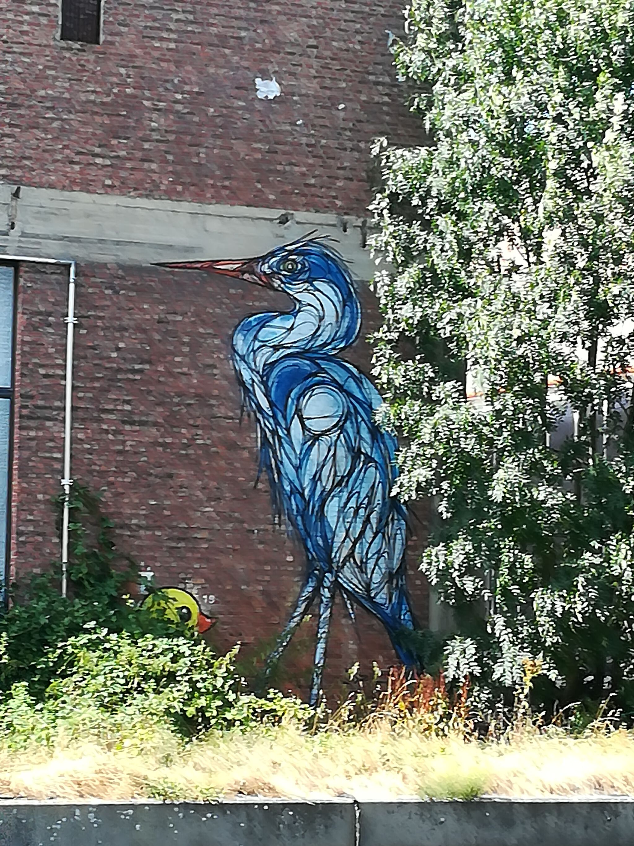 Dzia&mdash;Heron and rubber duck