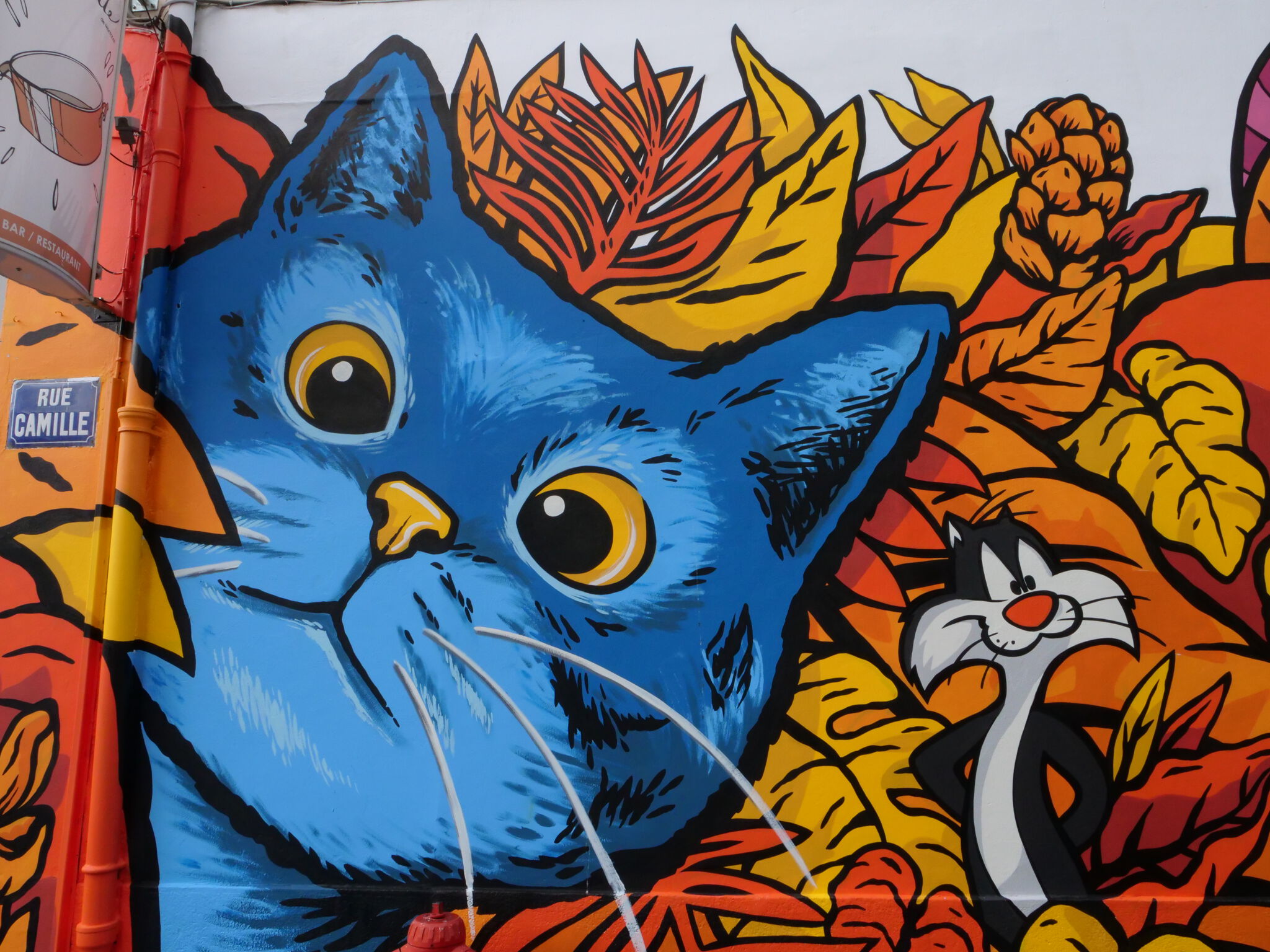 Bur&mdash;Le chat de montchat