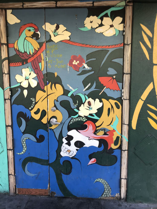 Parrots and skulls