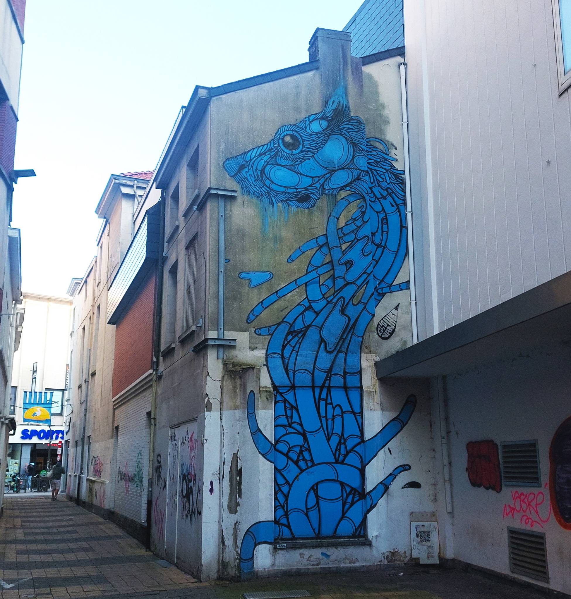 Gijs Vanhee&mdash;Blue Dog