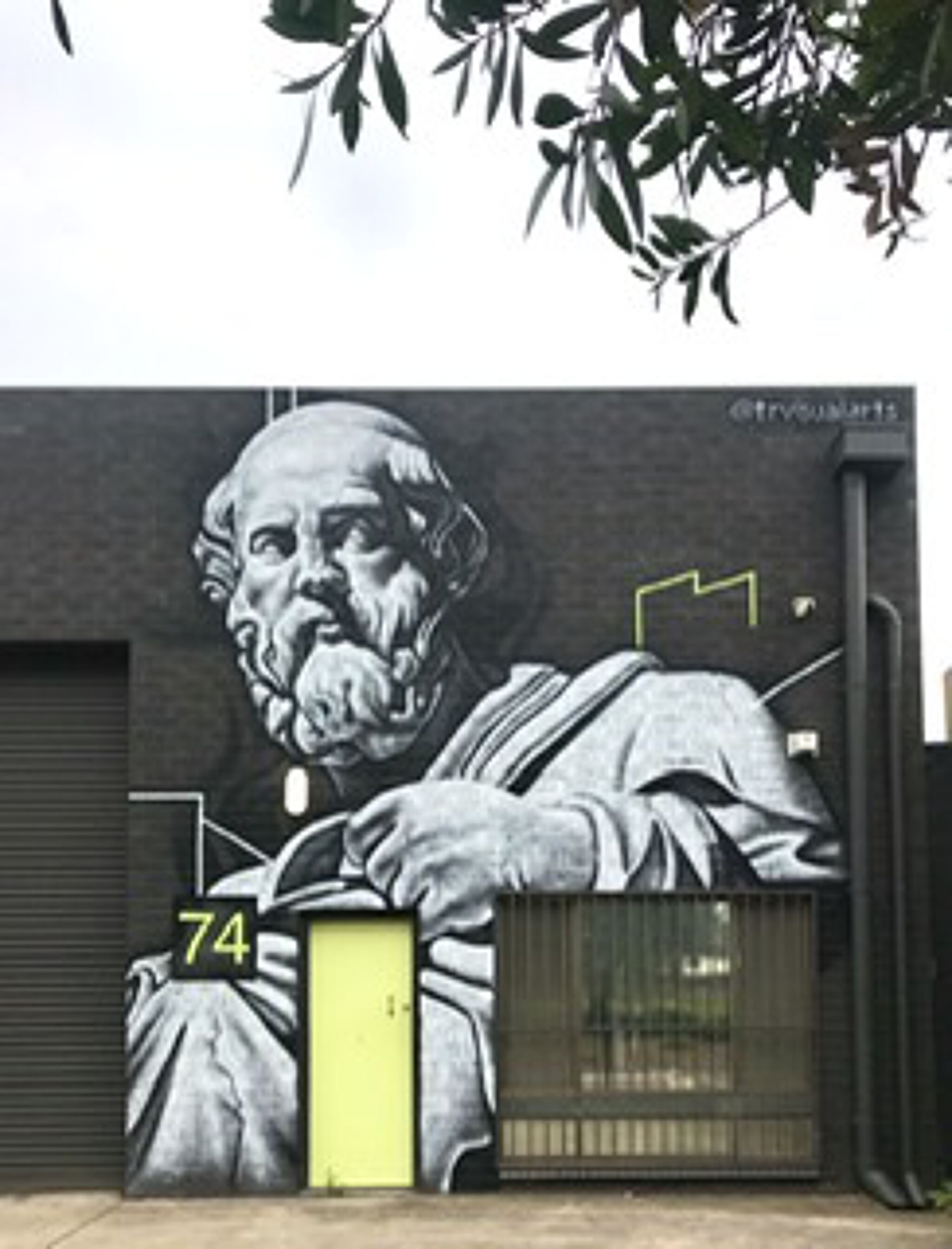 TR Visual Arts&mdash;Plato