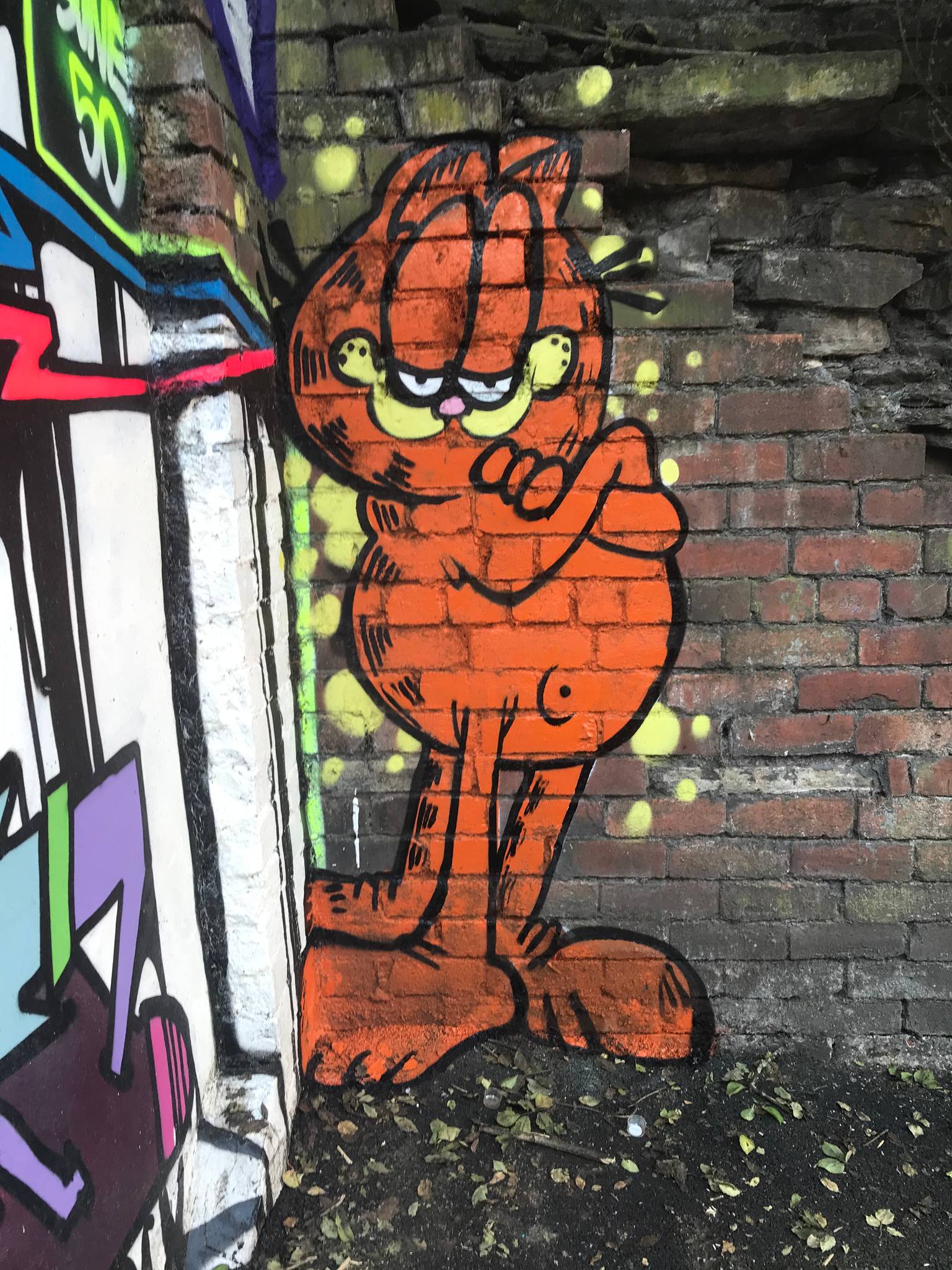 RotaOne&mdash;Garfield