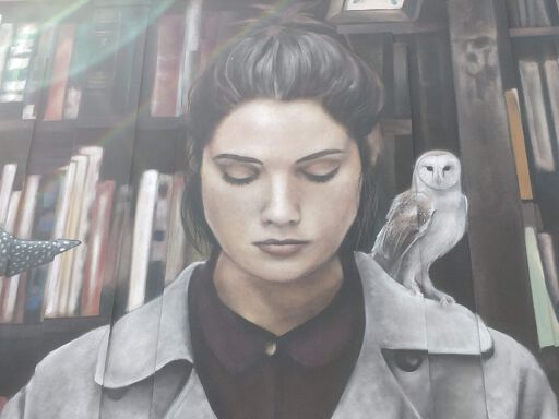 Curiosity feeds imagination